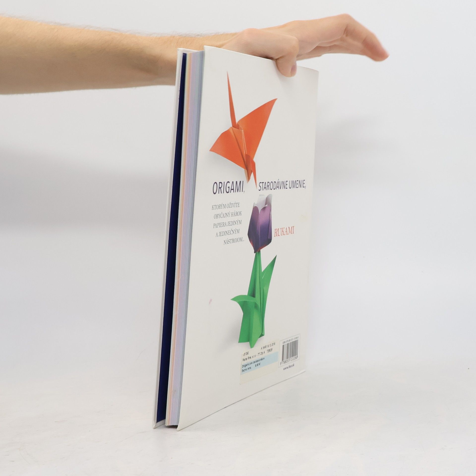 Autorenkollektiv Origami pre začiatočníkov