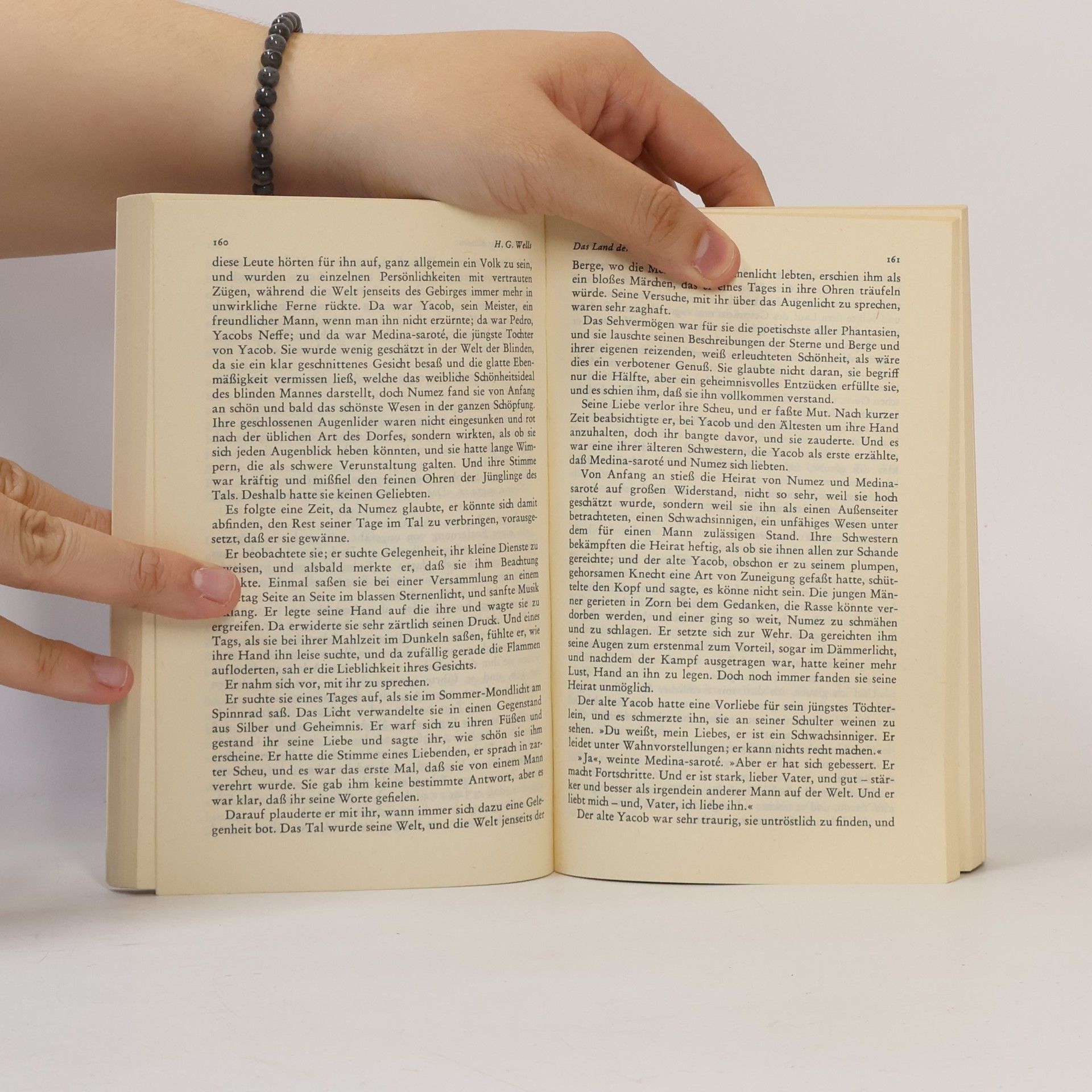Gerd Haffmans Das Diogenes Lesebuch englischer Erzähler