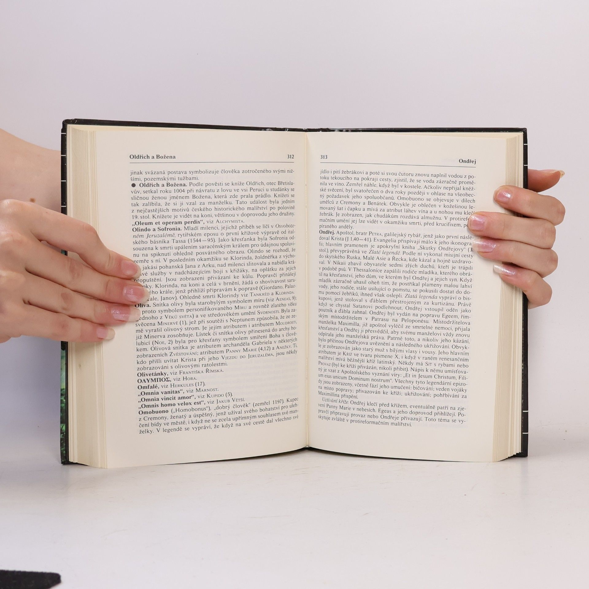 James N. Hall Slovník námětů a symbolů ve výtvarném umění