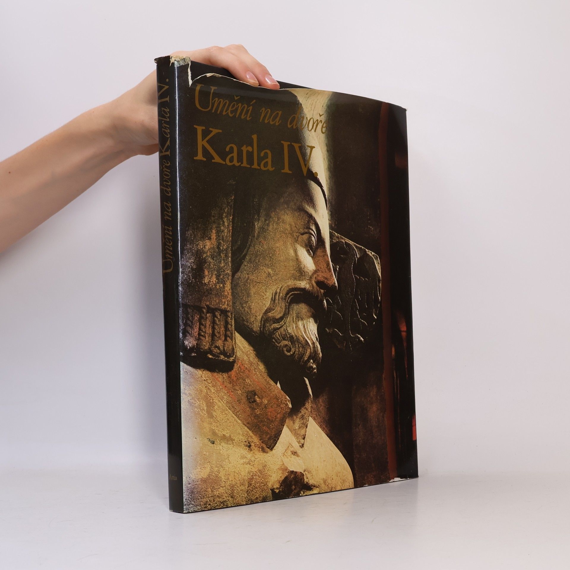 Karel Stejskal Umění na dvoře Karla IV.