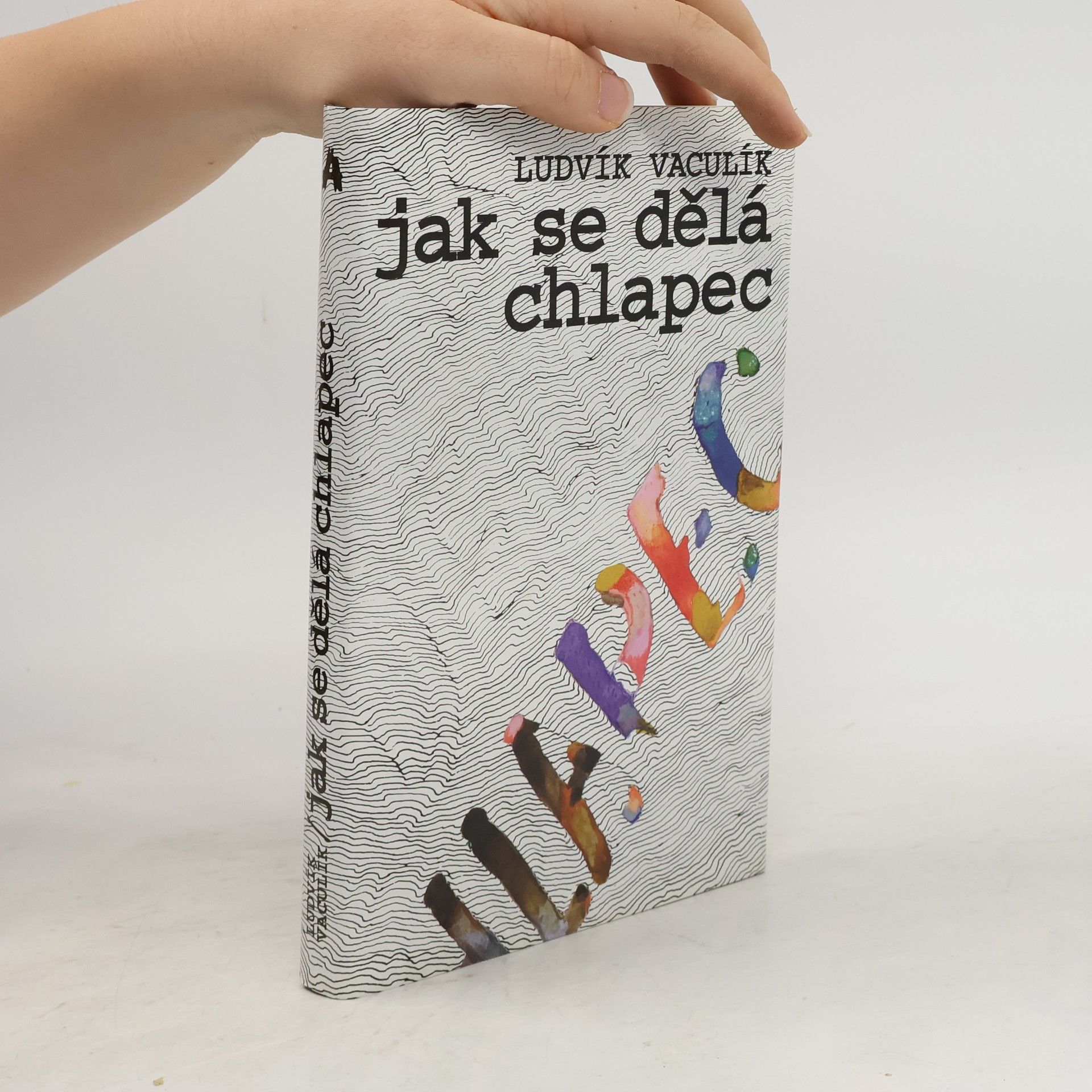 Ludvík Vaculík Jak se dělá chlapec