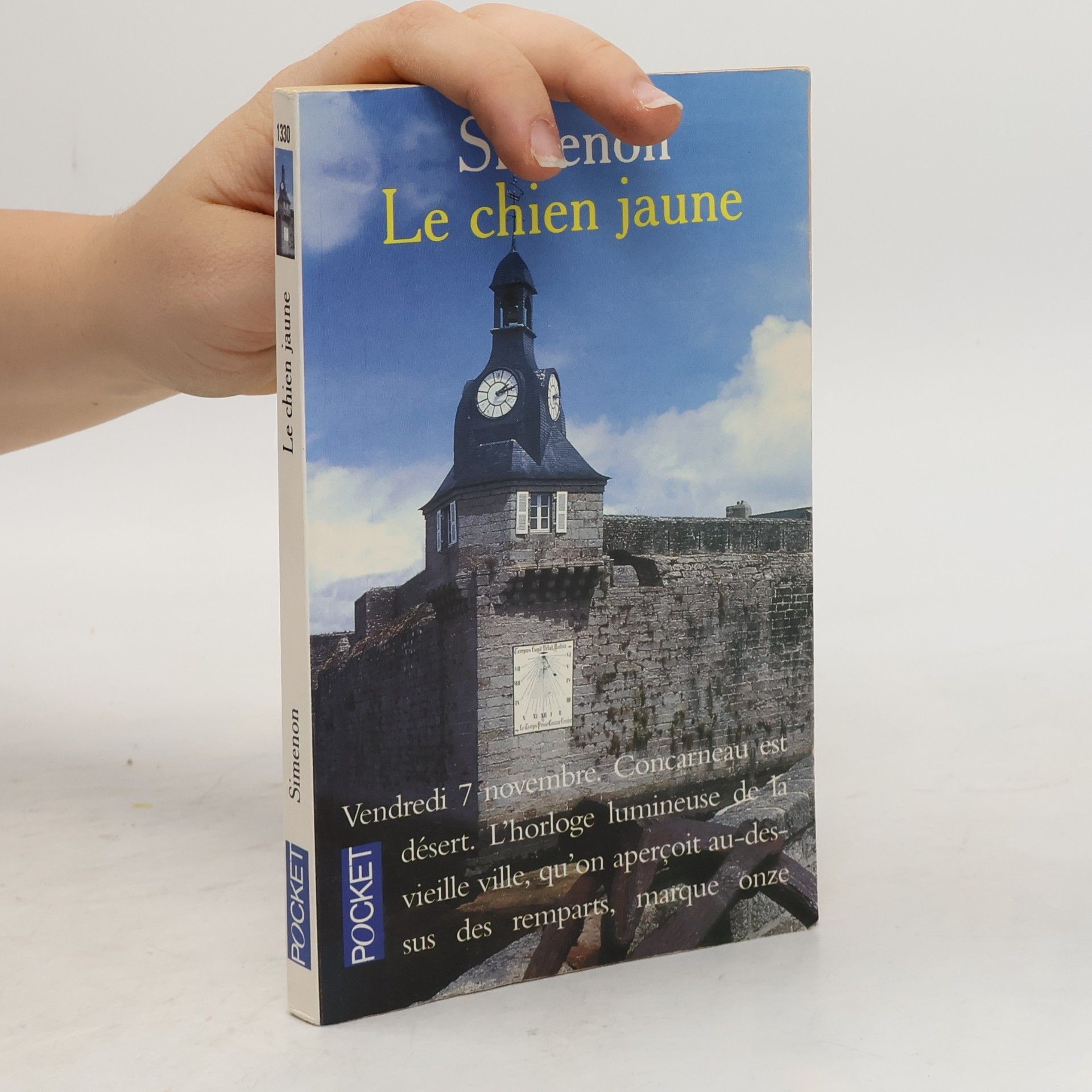 Georges Simenon Le chien jaune