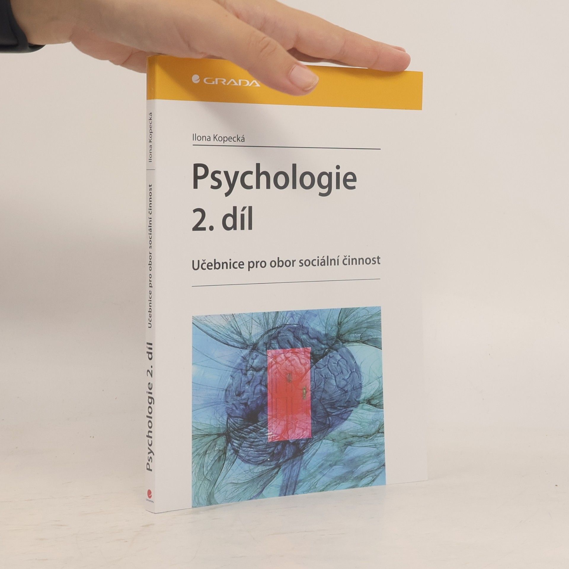 Ilona Kopecká Psychologie : učebnice pro obor sociální činnost. 2. díl