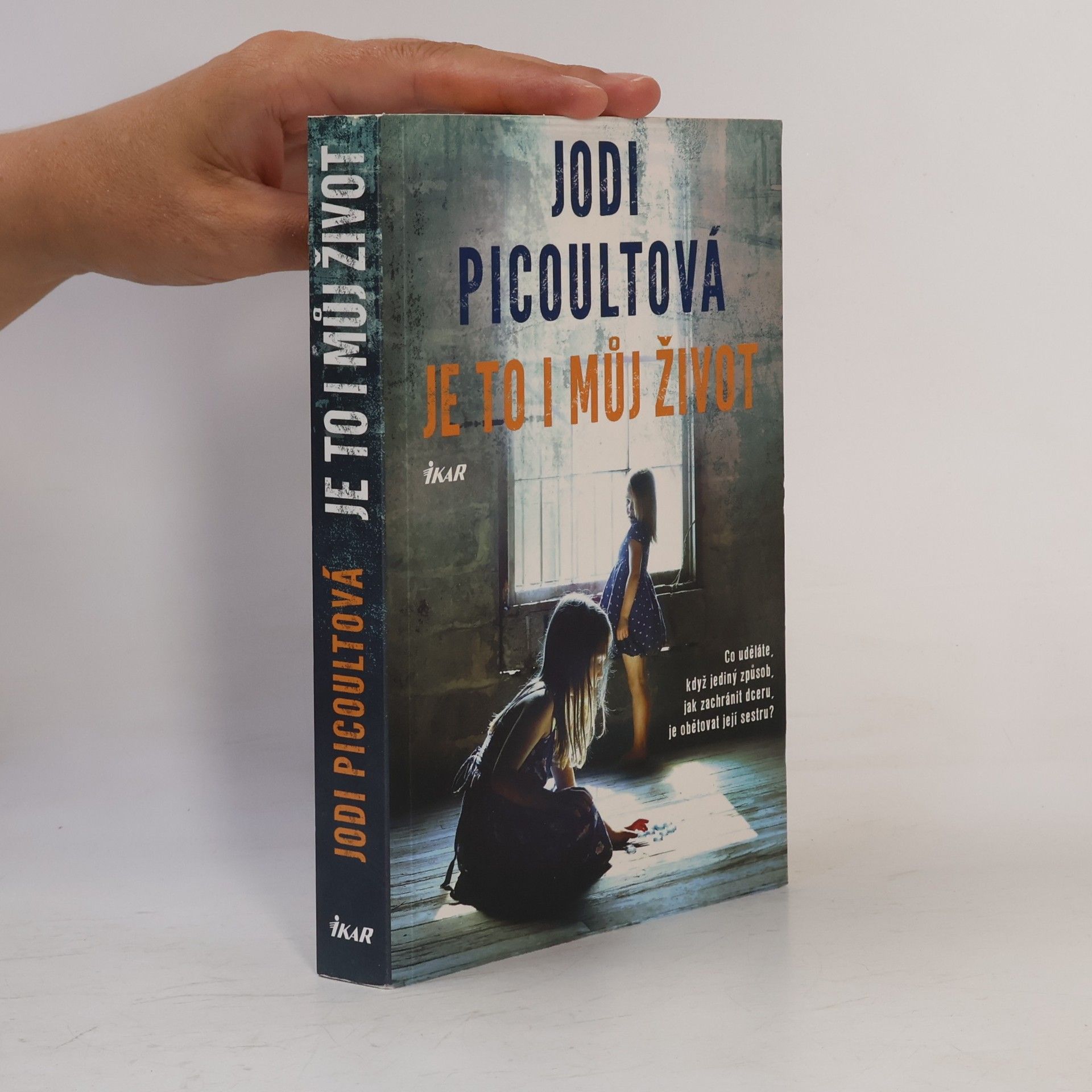 Jodi Picoult Je to i můj život
