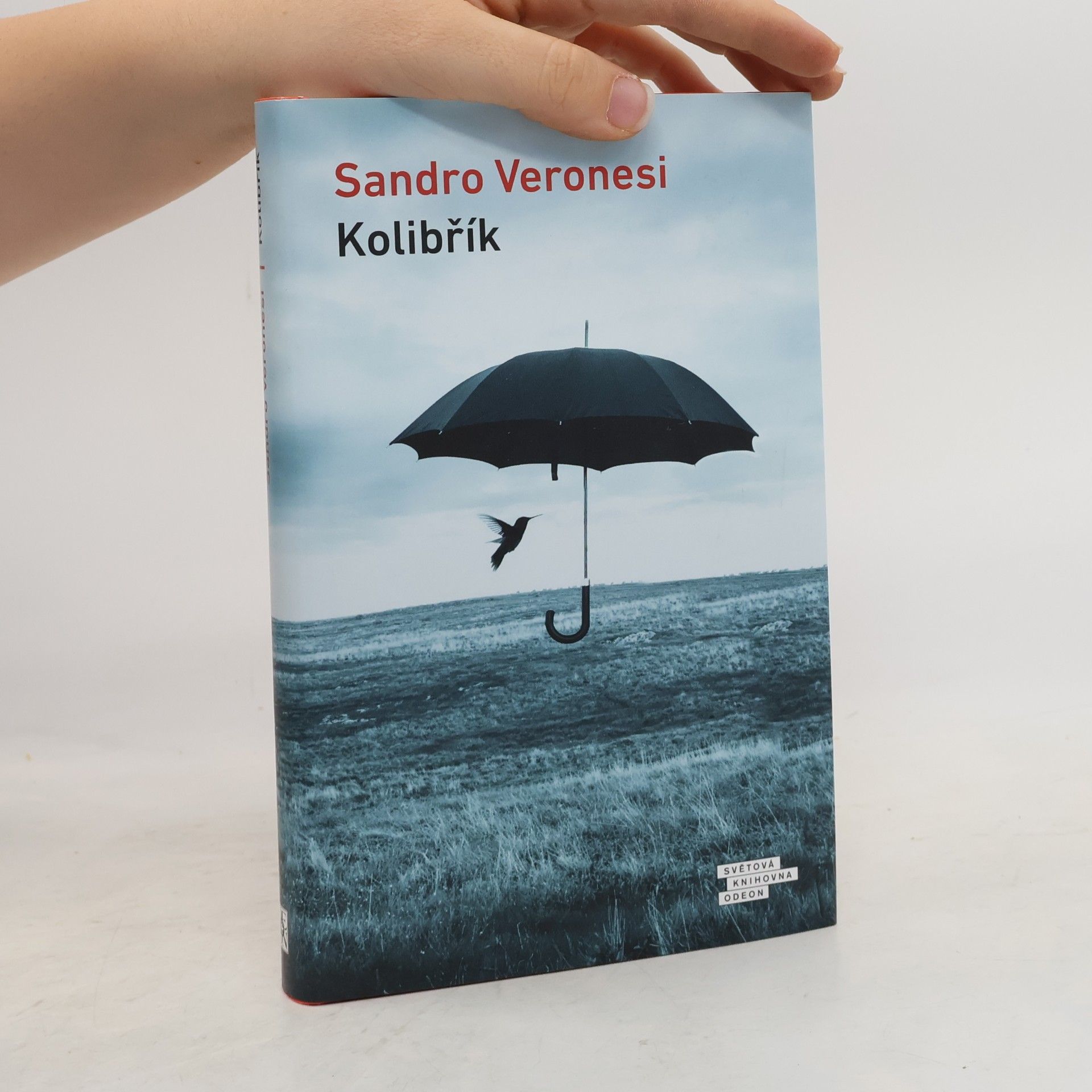 Sandro Veronesi Kolibřík