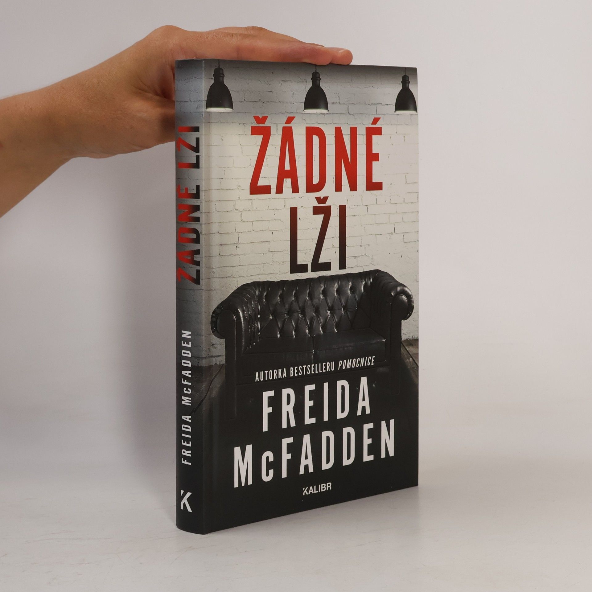 Freida McFadden Žádné lži