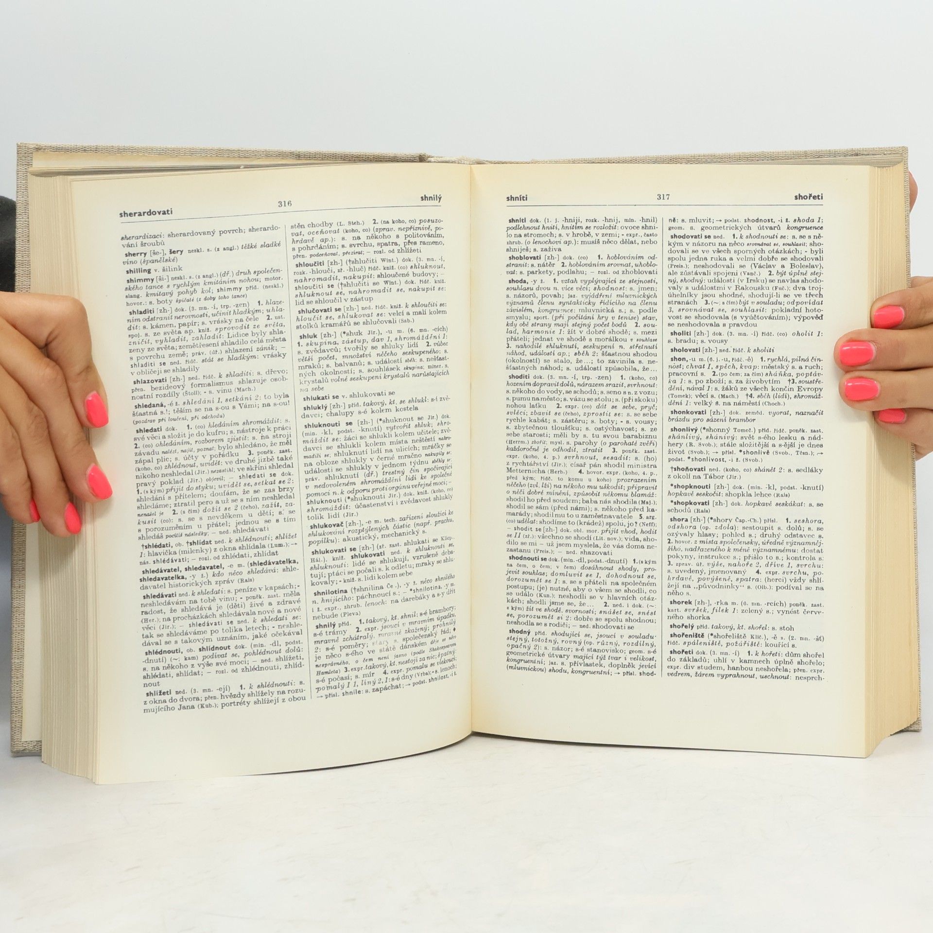 Autorenkollektiv Slovník spisovného jazyka českého III. R-U