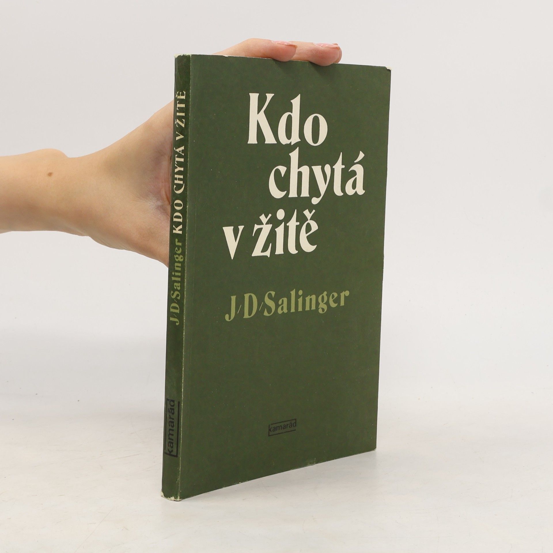 J. D. Salinger Kdo chytá v žitě