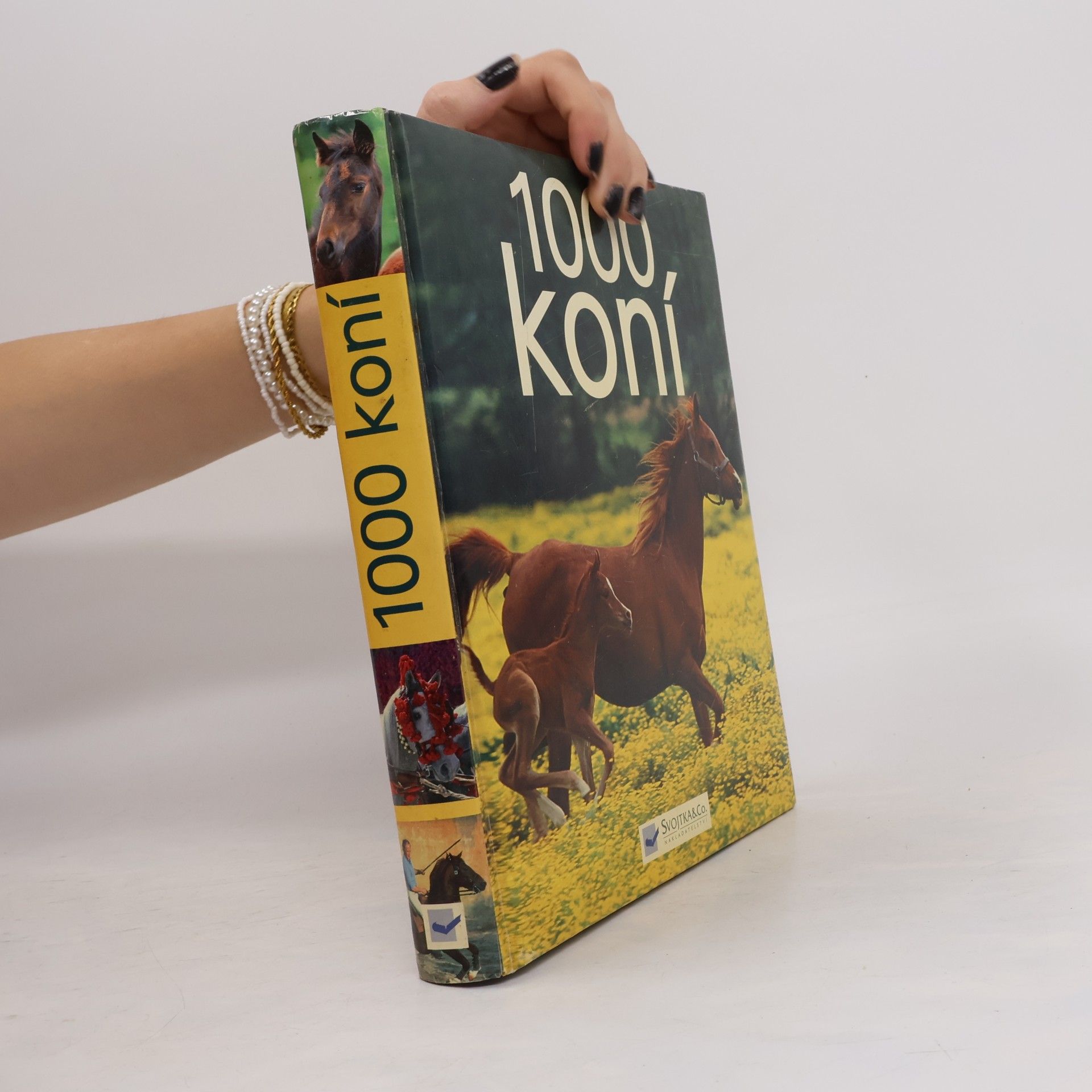 Ulrike Schöber 1000 koní