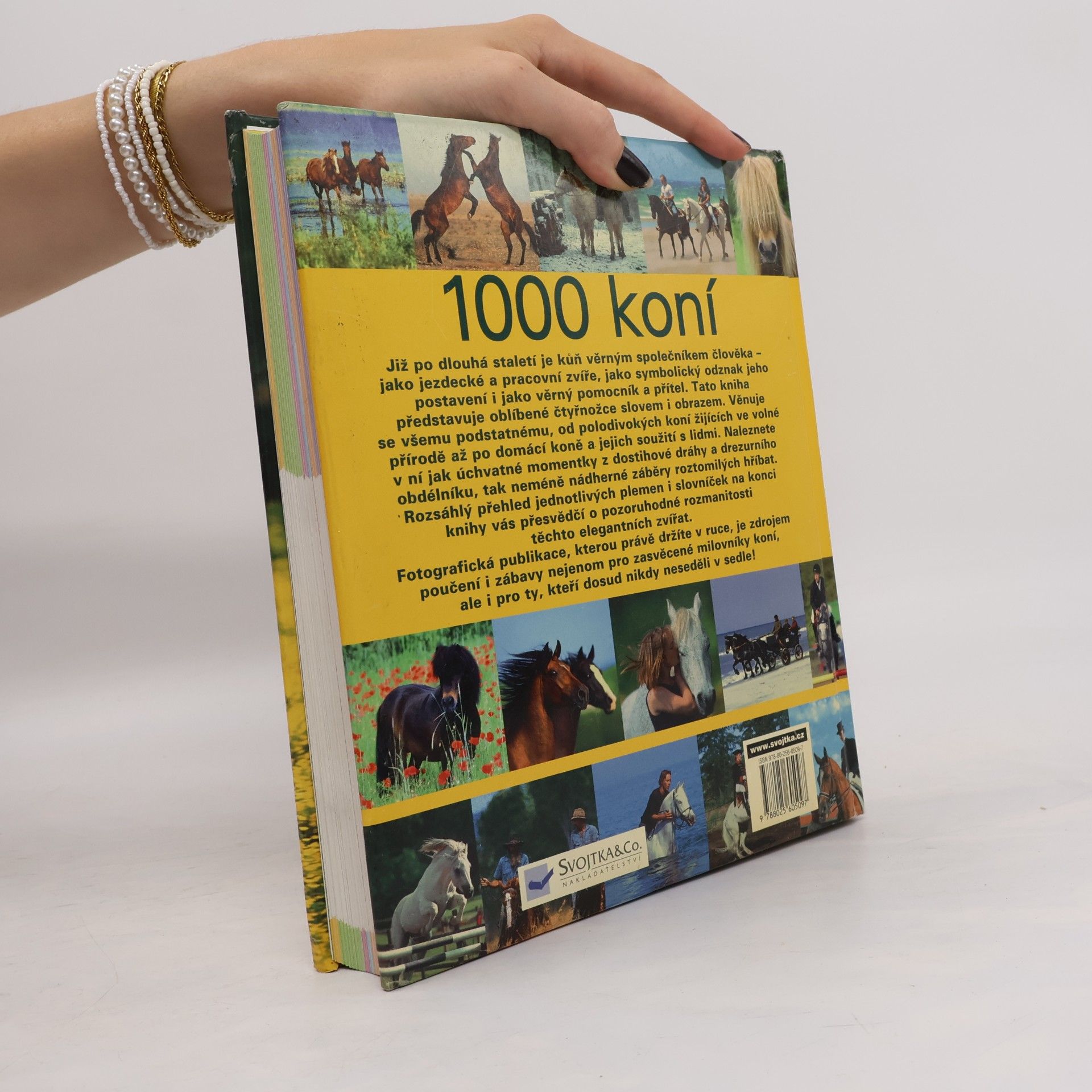 Ulrike Schöber 1000 koní