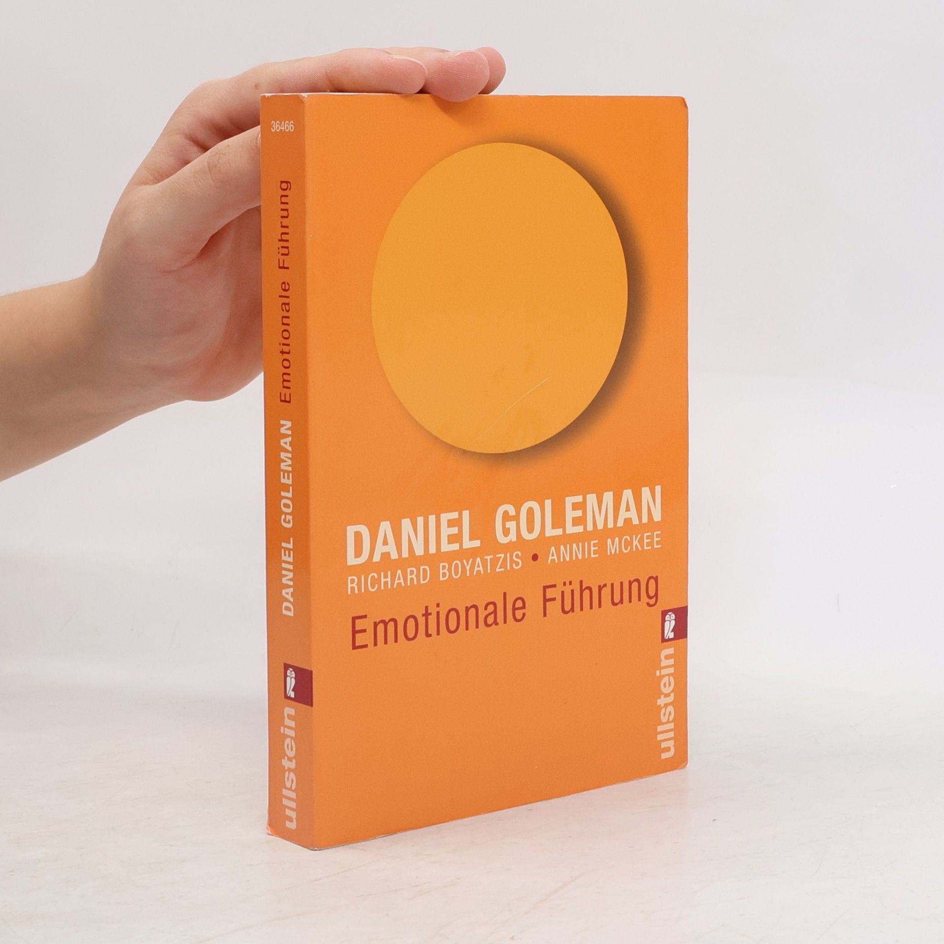 Daniel Goleman Emotionale Führung