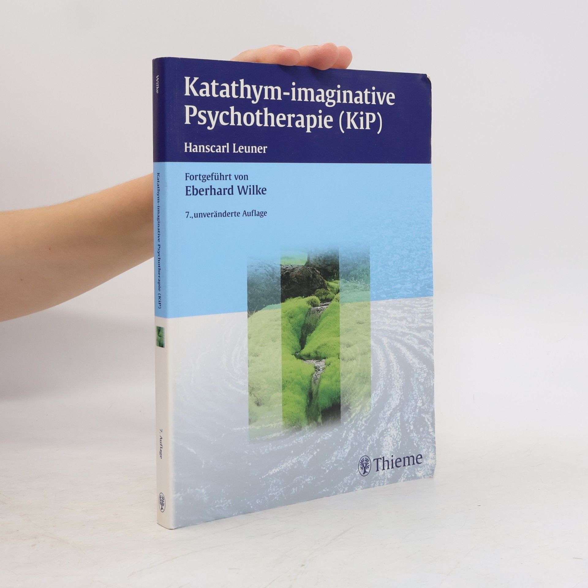 Eberhard Wilke Katathym-imaginative Psychotherapie (KiP)