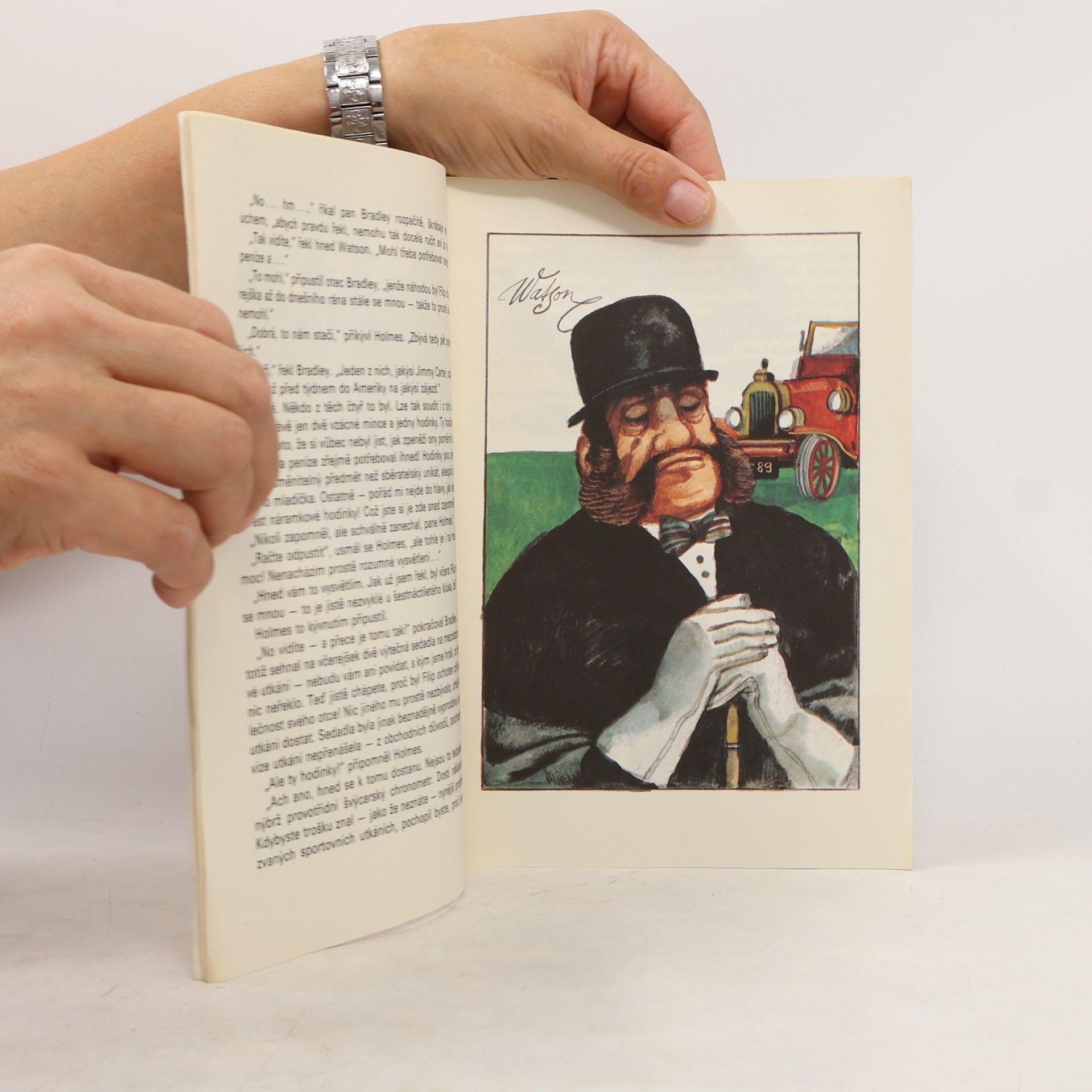 Rudolf Čechura Sherlock Holmes a případ s ptáky