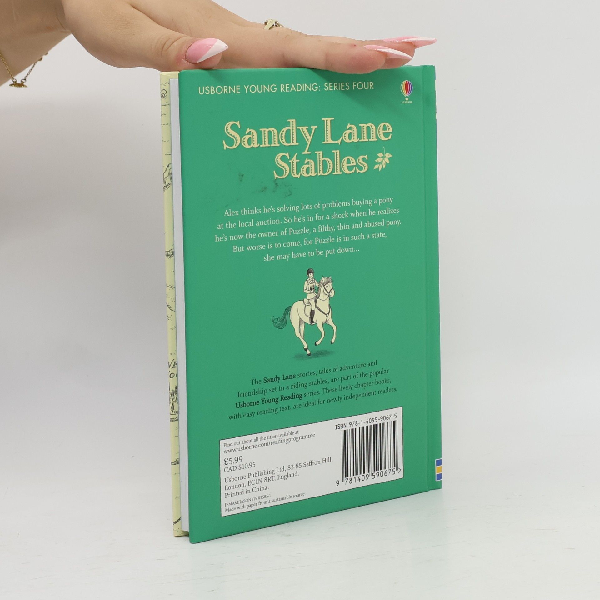 Michelle Bates Sandy Lane Stables: The Perfect Pony