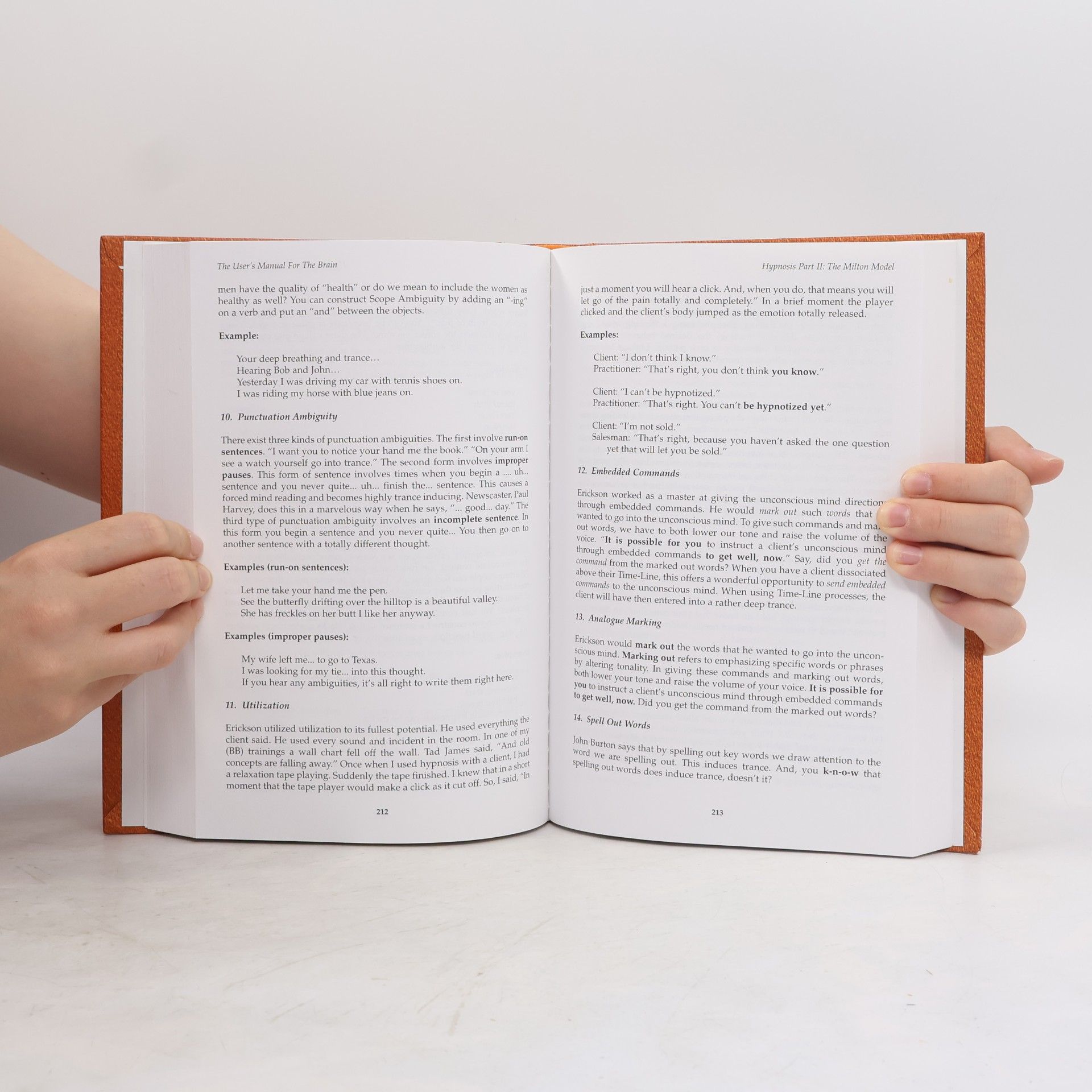 Bob G. Bodenhamer The User's Manual for the Brain