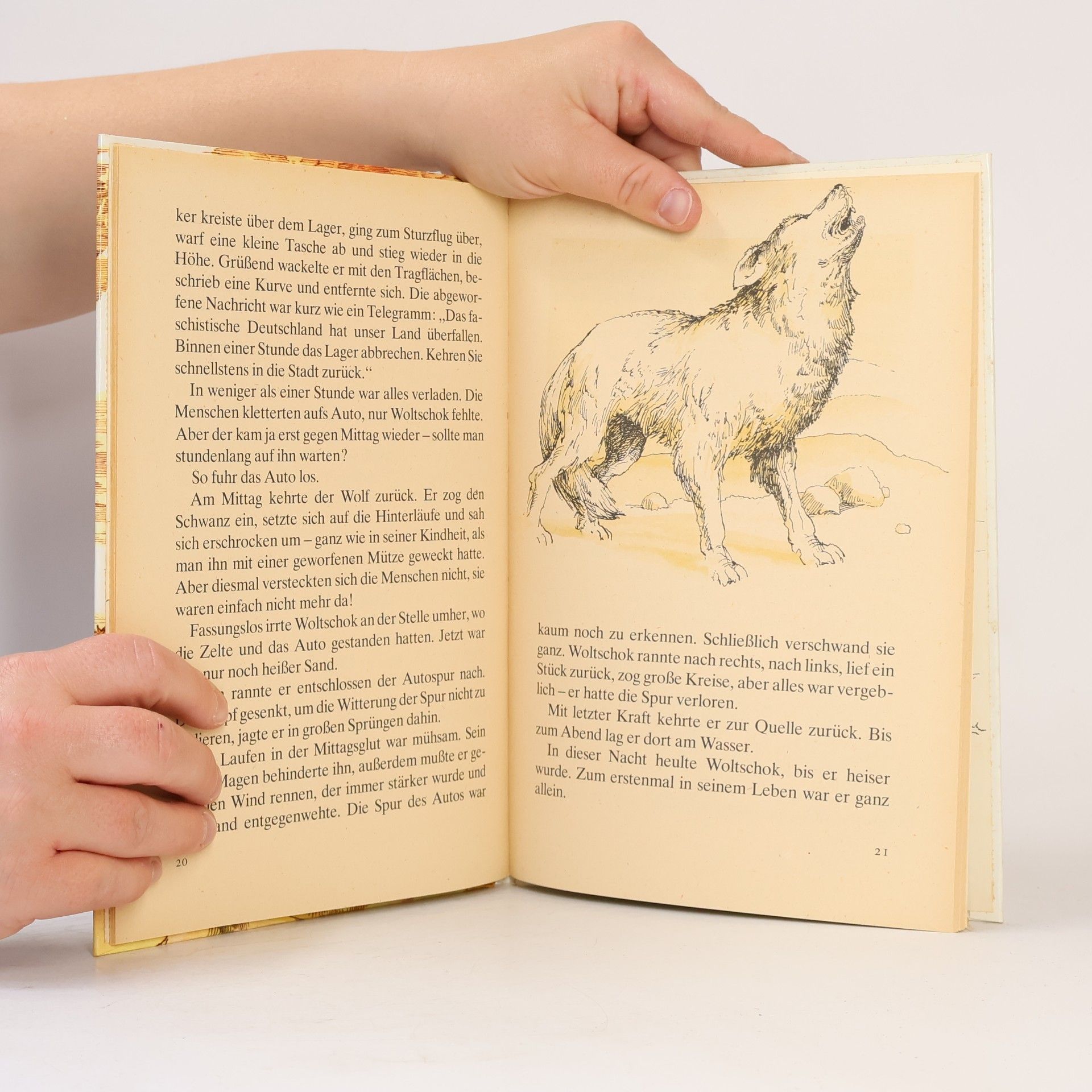 Maxim Swerew  Der wolf aus der wüste