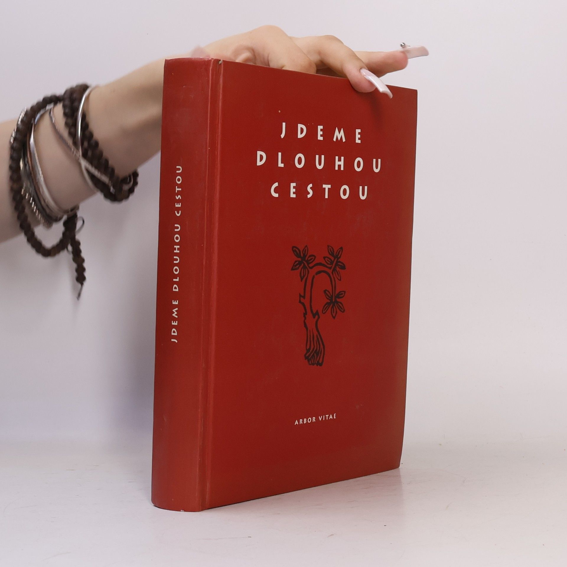 Jdeme dlouhou cestou