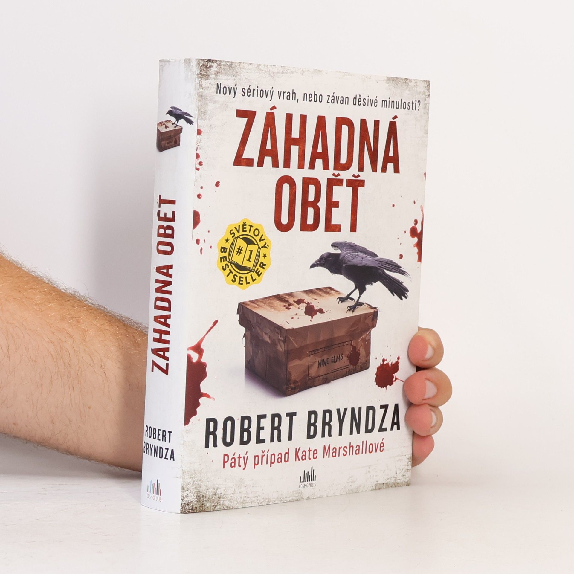 Robert Bryndza Záhadná oběť