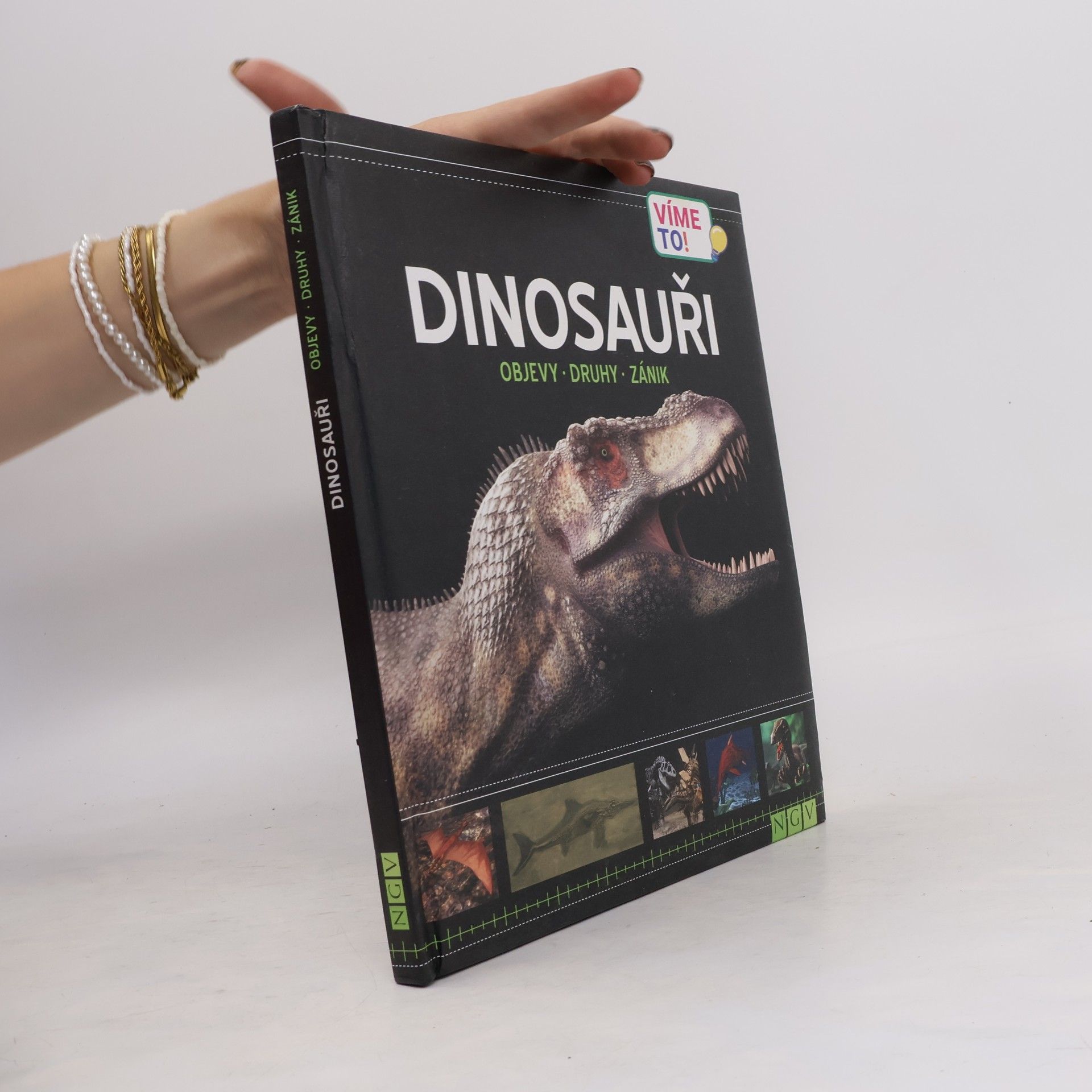 Collectif d'auteurs Dinosauři