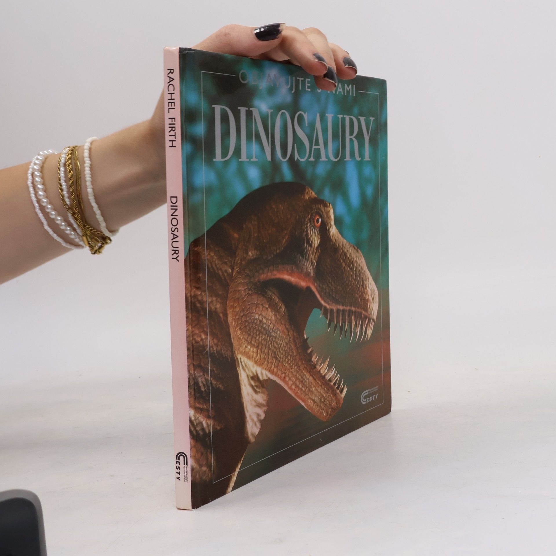 Rachel Firth Dinosaury