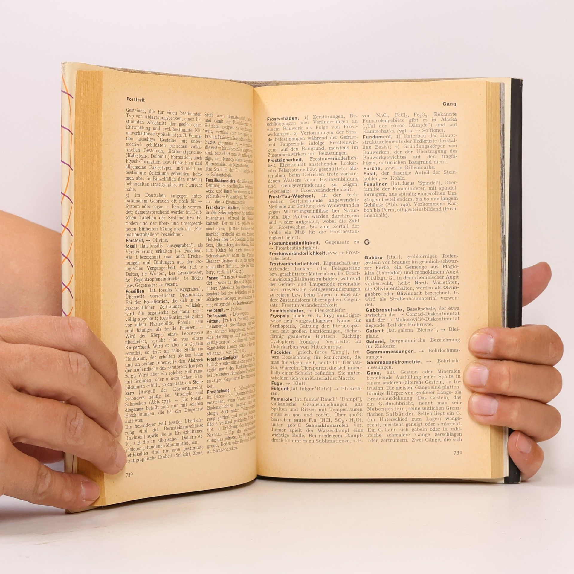 Autorenkollektiv Die Entwicklungsgeschichte der Erde