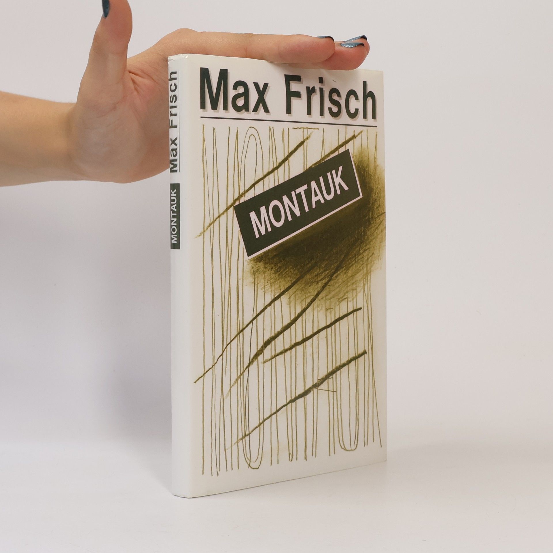 Max Frisch Montauk