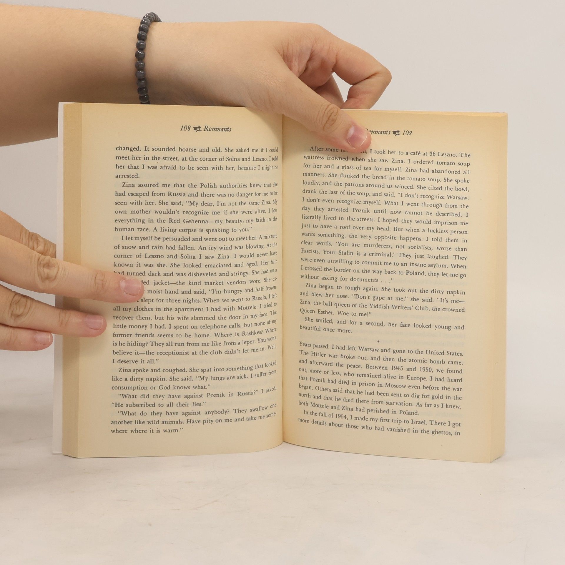 Isaac B. Singer Penguin Twentieth Century Classics: The Image and Other Stories