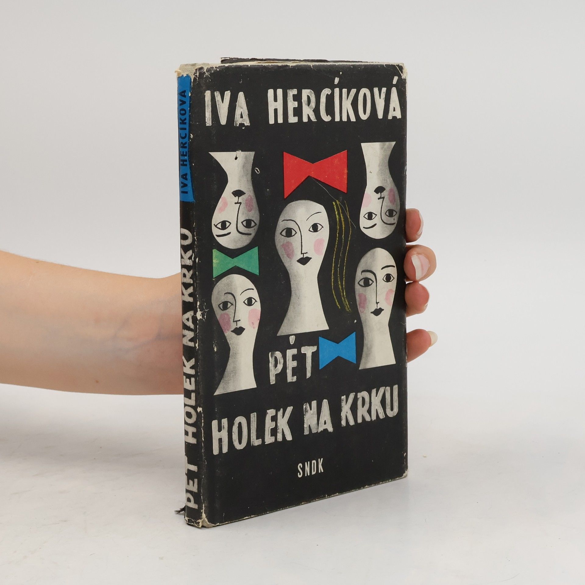 Iva Hercíková Pět holek na krku