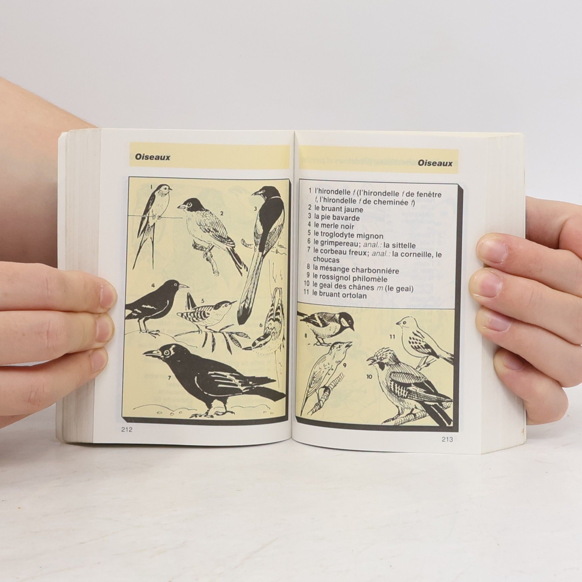 Antonín Šplíchal Dictionnaire en images : Français
