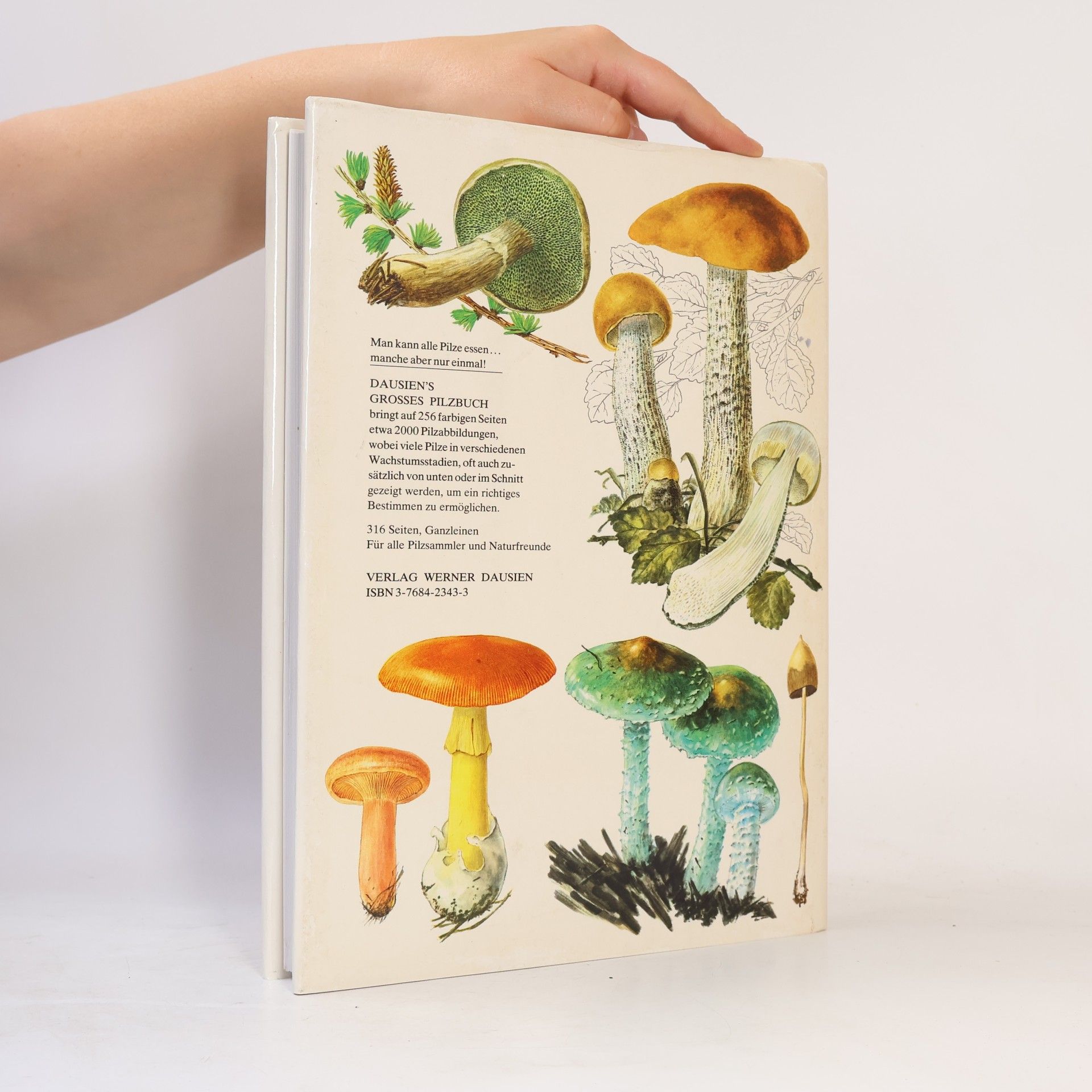 Mirko Svrček Dausien's grosses Pilzbuch in Farbe