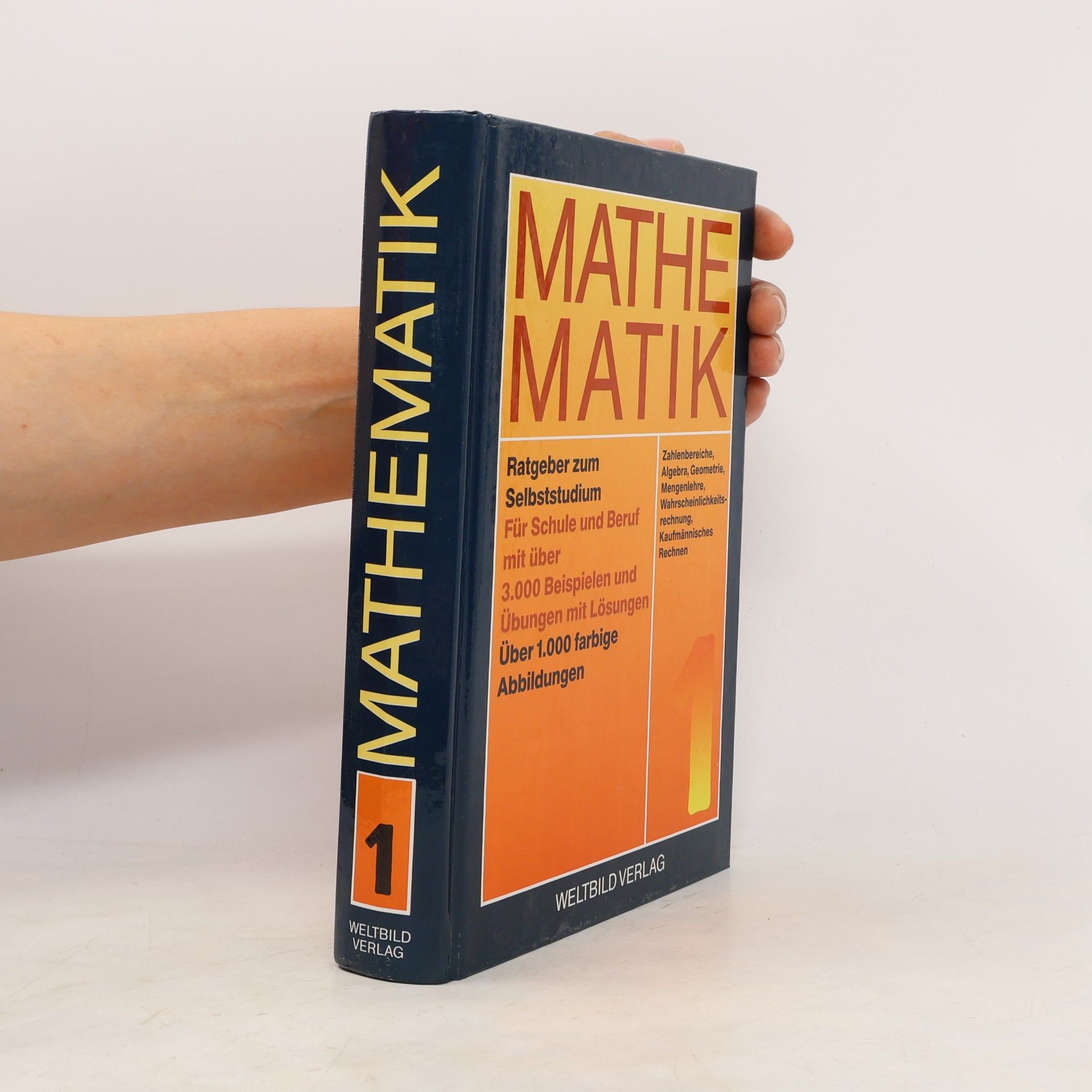 Autorenkollektiv Mathematik 1. Ratgeber zum Selbststudium