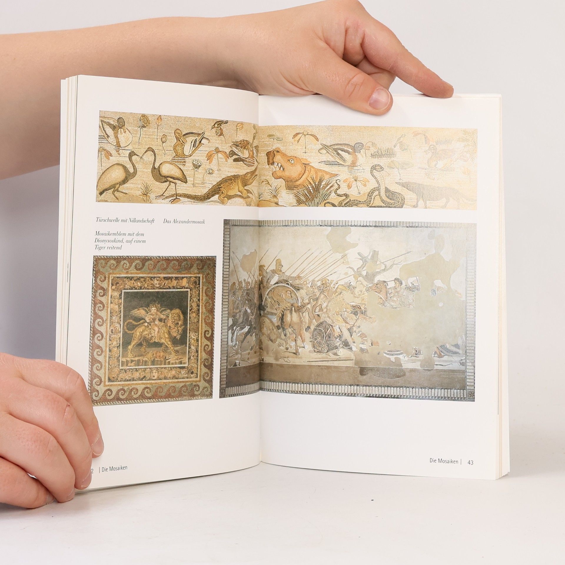 S. De Caro Das Archäologische National Museum Neapel