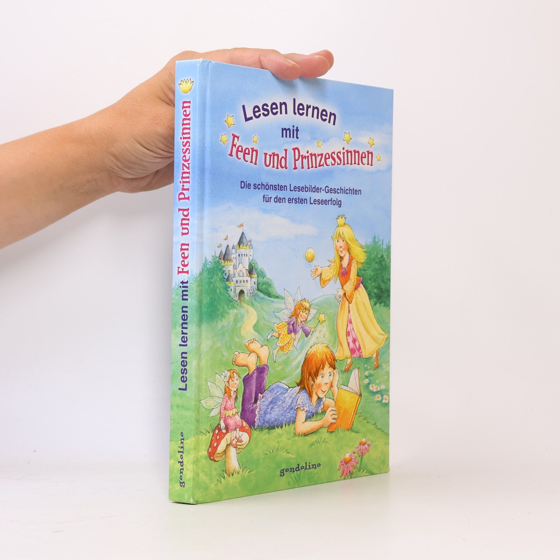 Kolektiv autorů Lesen lernen mit Feen und Prinzessinnen