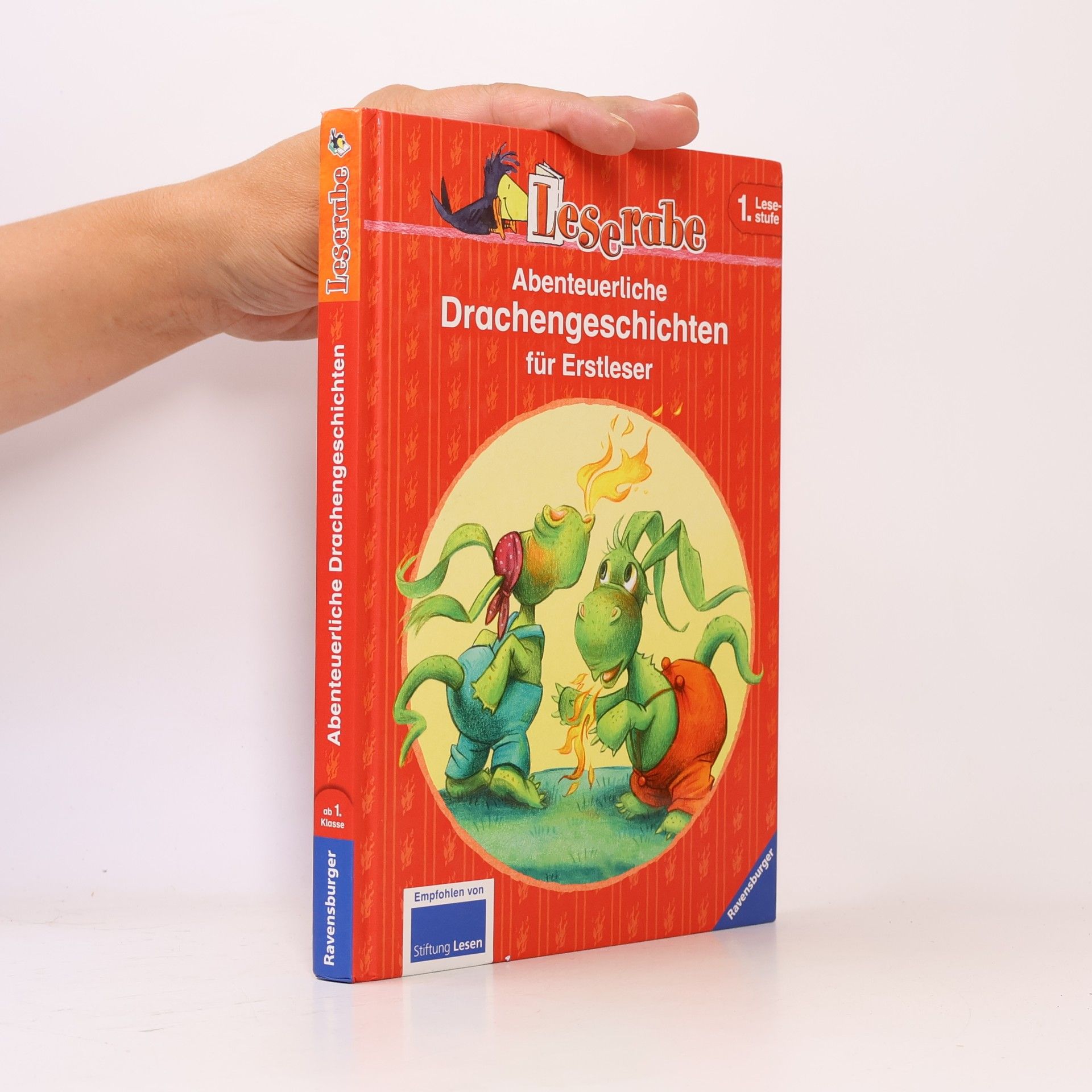 Inge Meyer-Dietrich Abenteruerliche Drachengeschichten für Erstleser