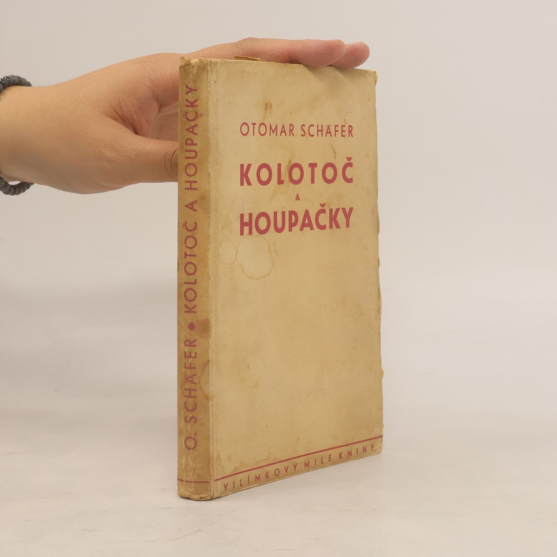 Otomar Schäfer Kolotoč a houpačky