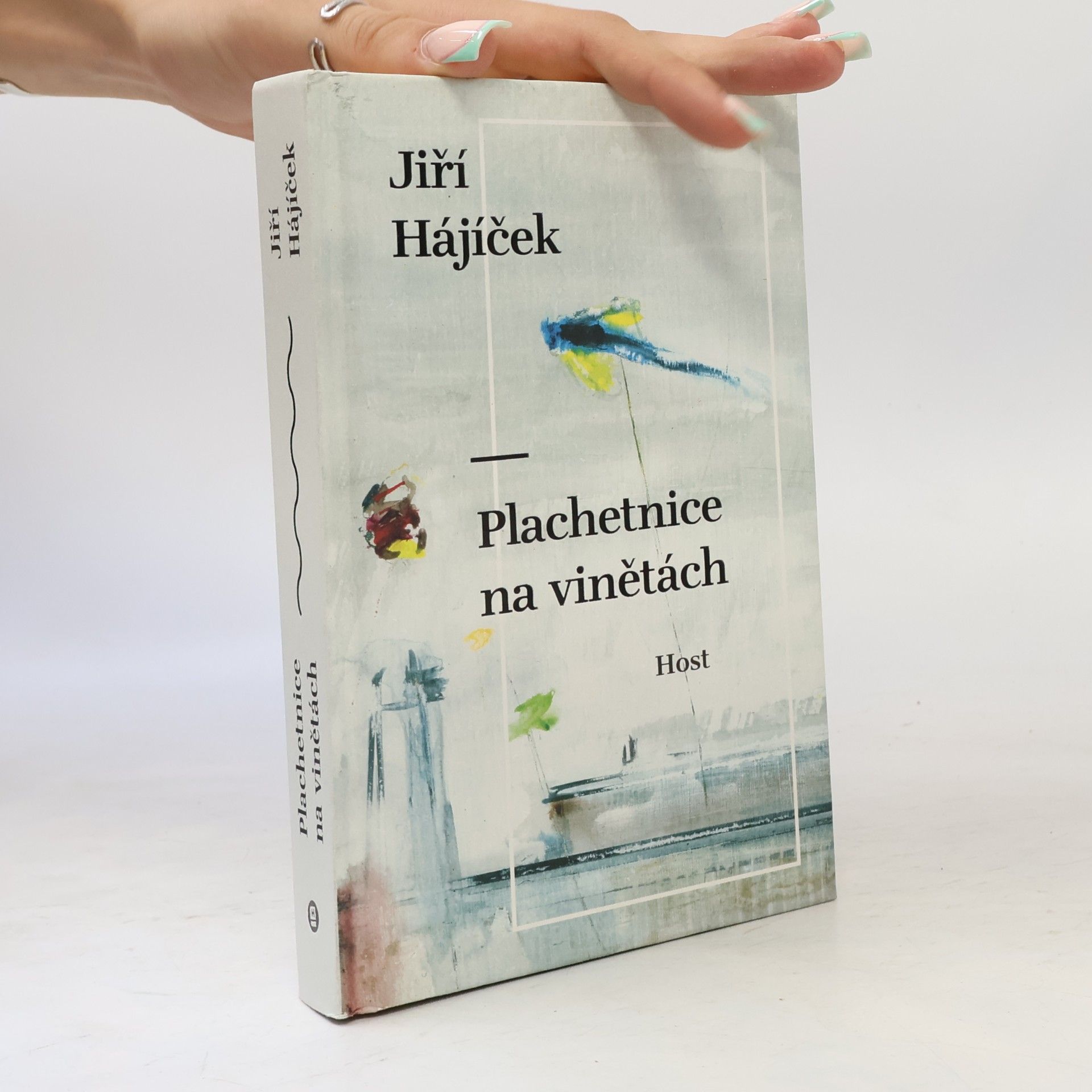 Jiří Hájíček Plachetnice na vinětách