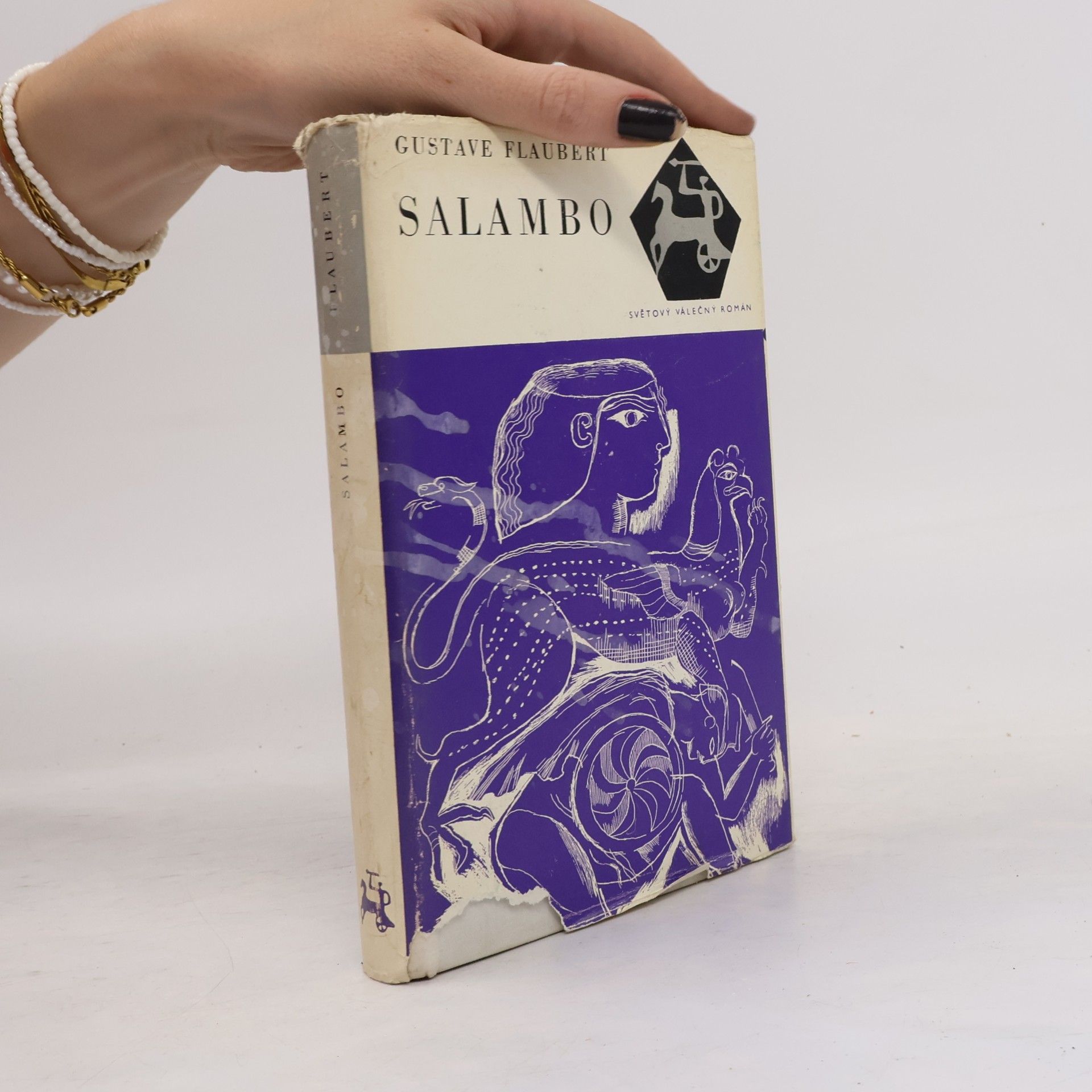 Gustave Flaubert Salambo