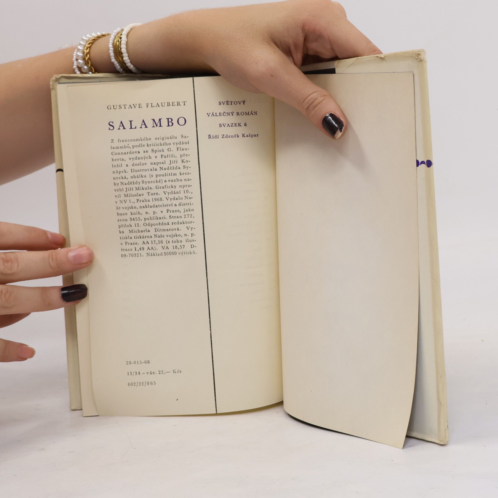 Gustave Flaubert Salambo