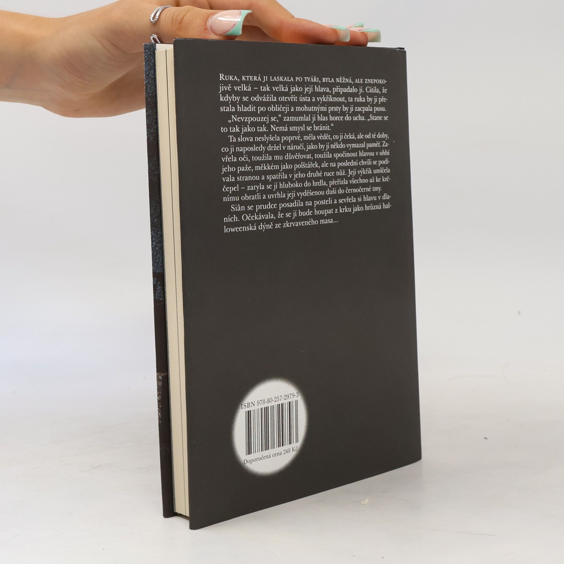 Michel Faber Sto devětadevadesát schodů