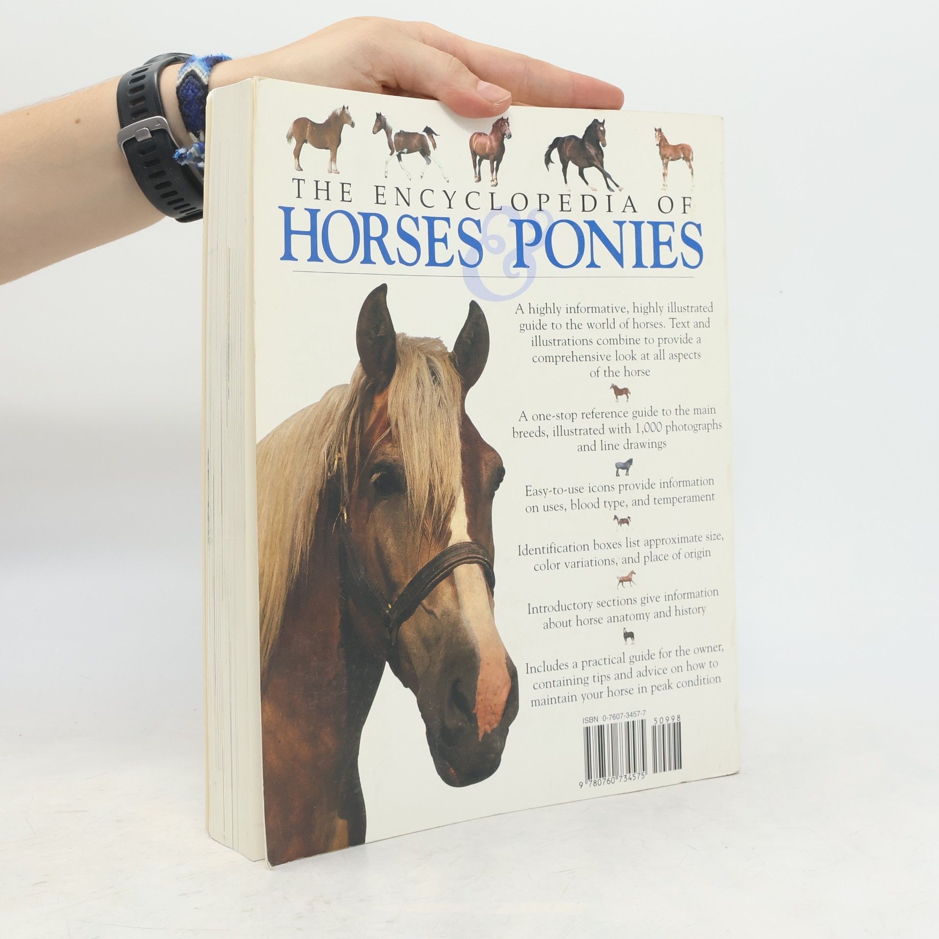 Tamsin Pickeral The Encyclopedia of Horses & Ponies