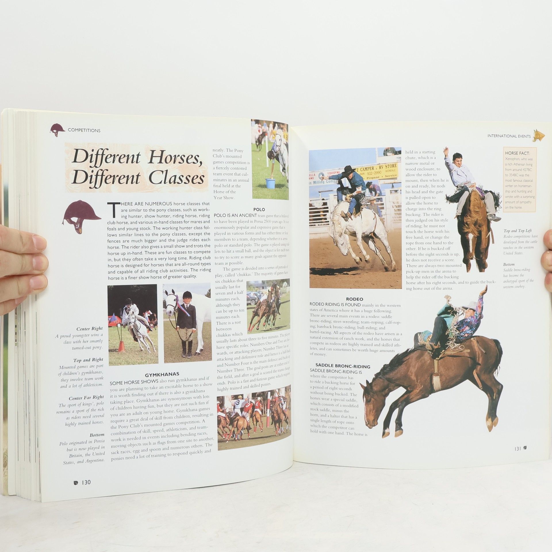 Tamsin Pickeral The Encyclopedia of Horses & Ponies