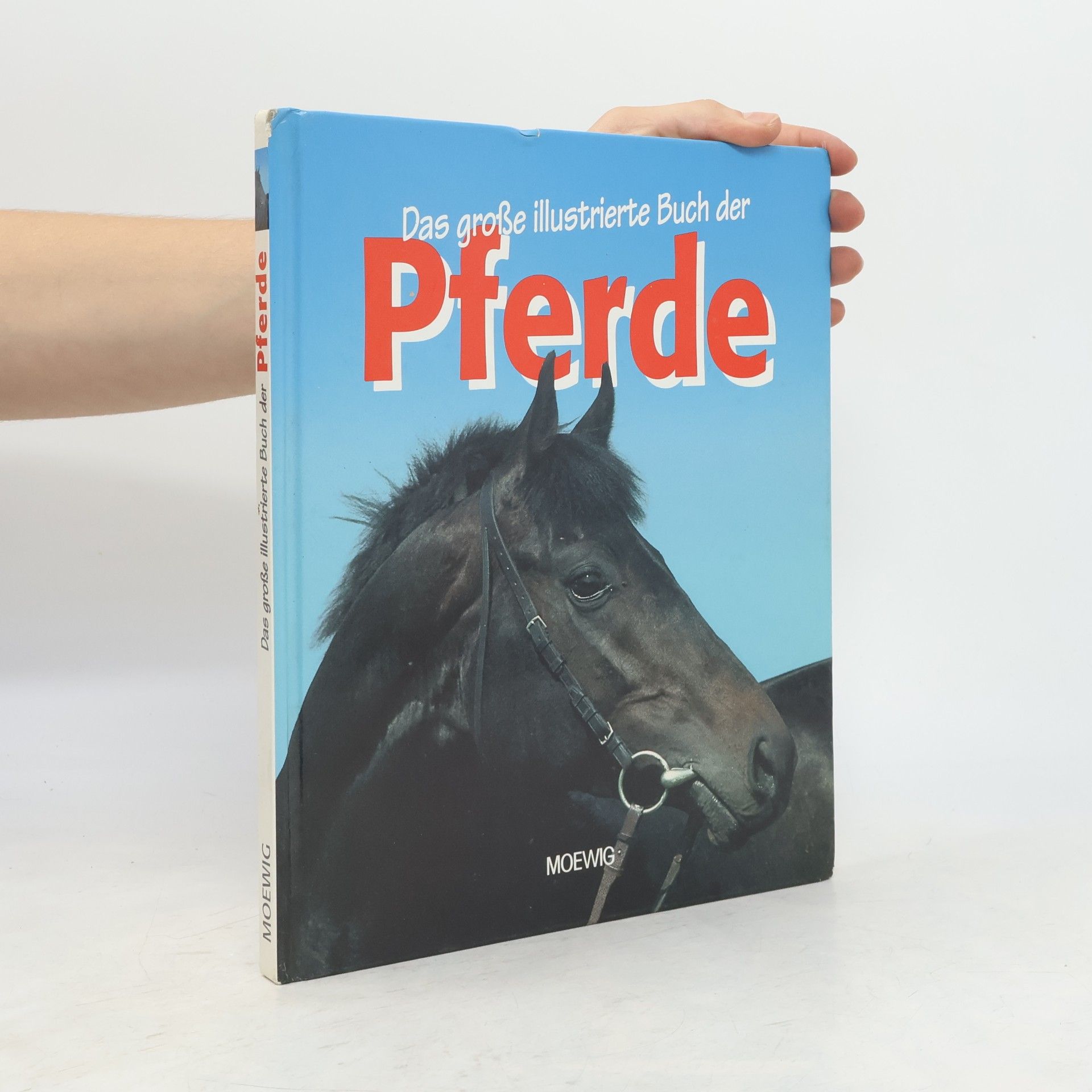Autorenkollektiv Das große illustrierte Buch der Pferde