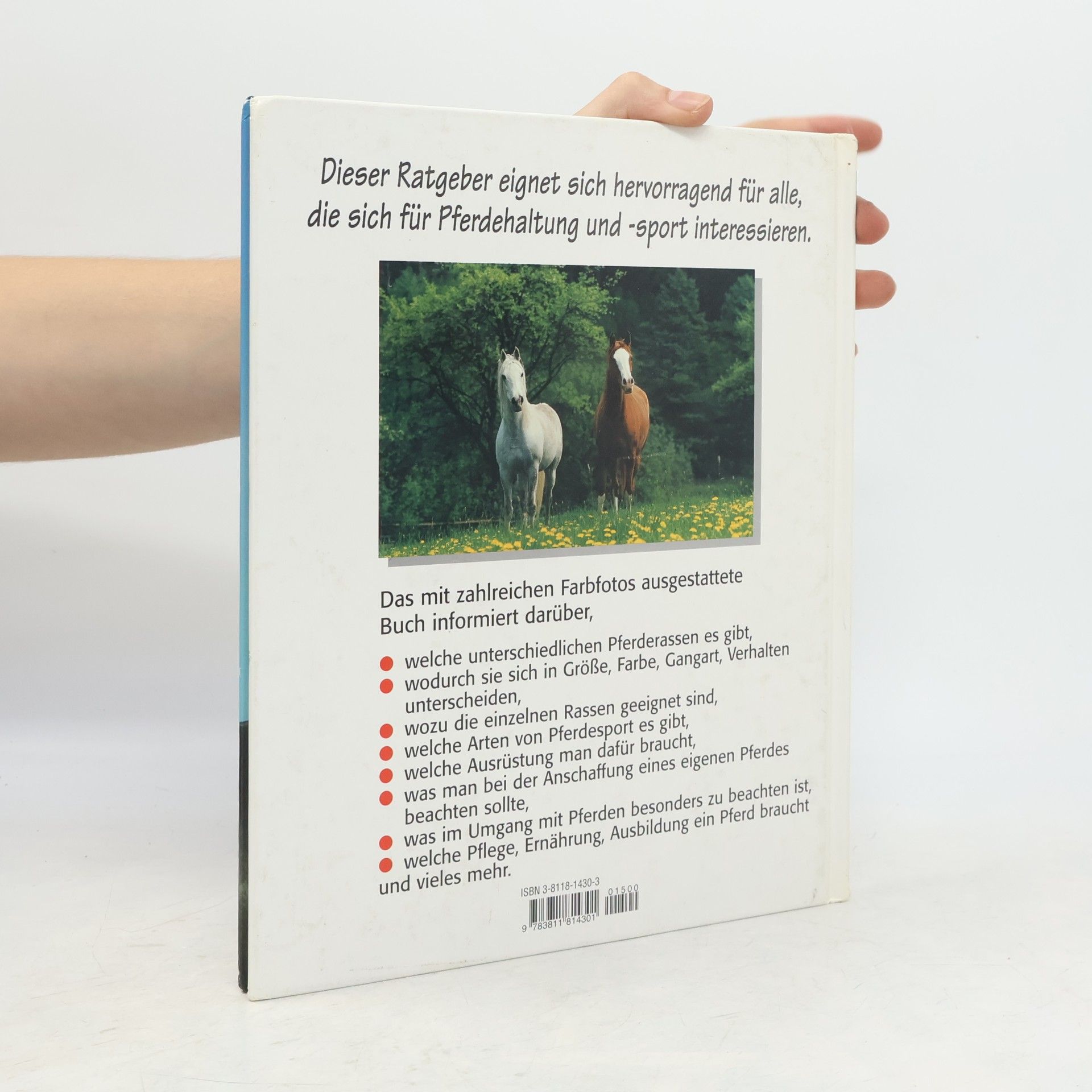 Autorenkollektiv Das große illustrierte Buch der Pferde