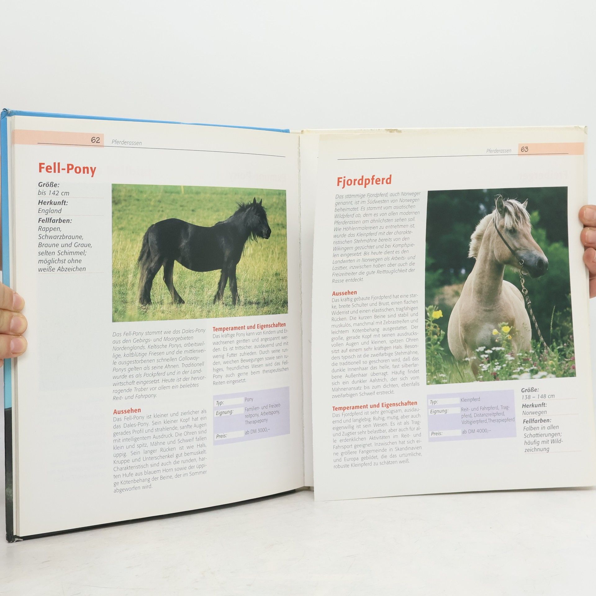 Autorenkollektiv Das große illustrierte Buch der Pferde