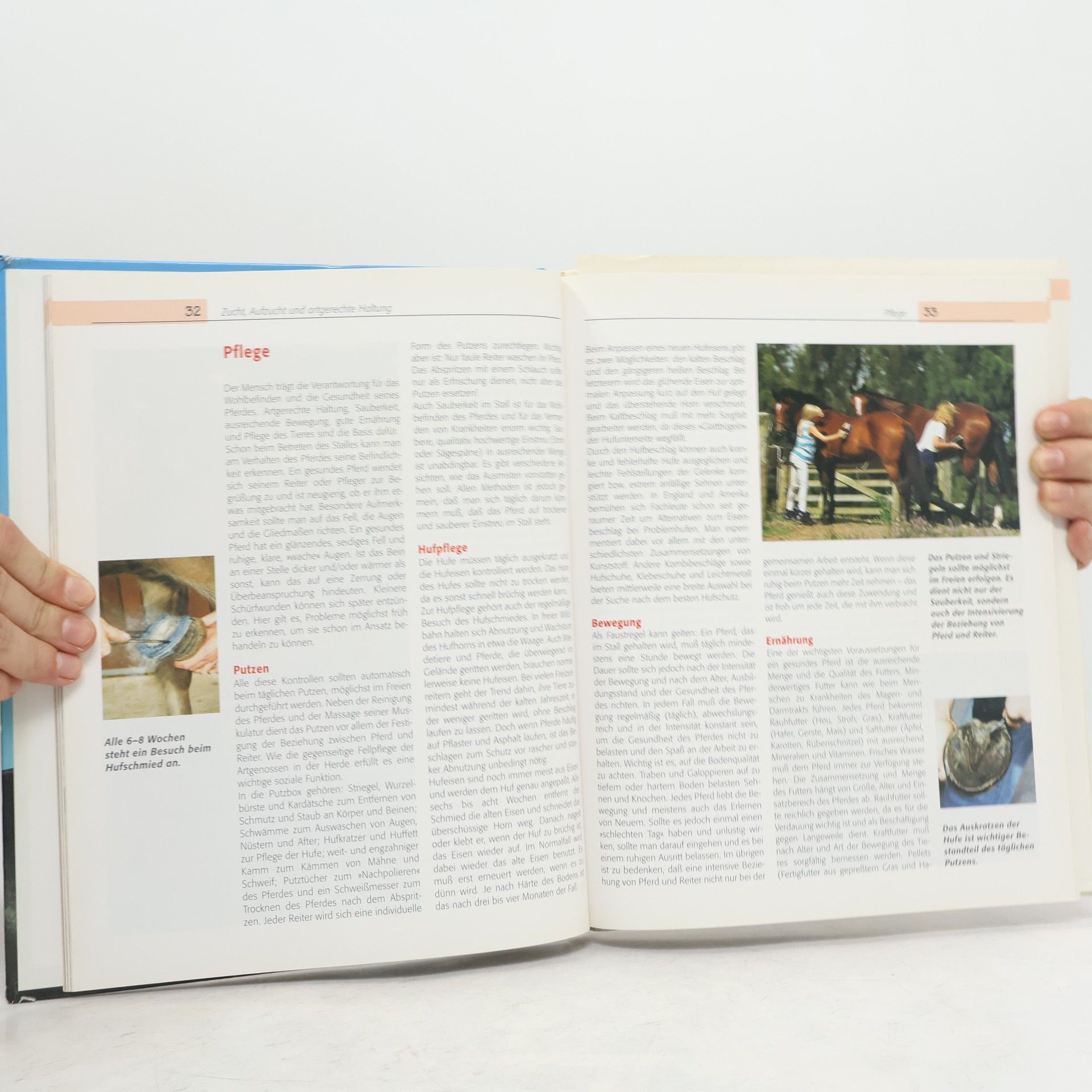 Autorenkollektiv Das große illustrierte Buch der Pferde