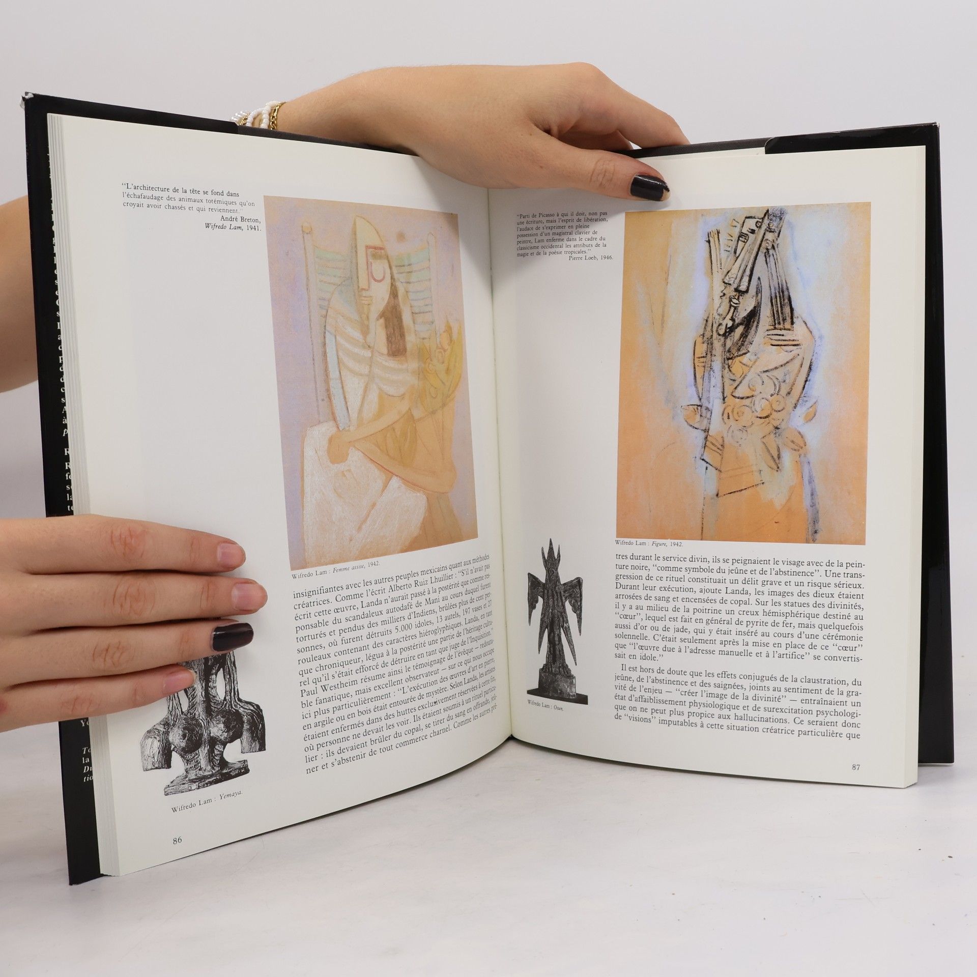 José Pierre L'aventure surréaliste autour d'André Breton