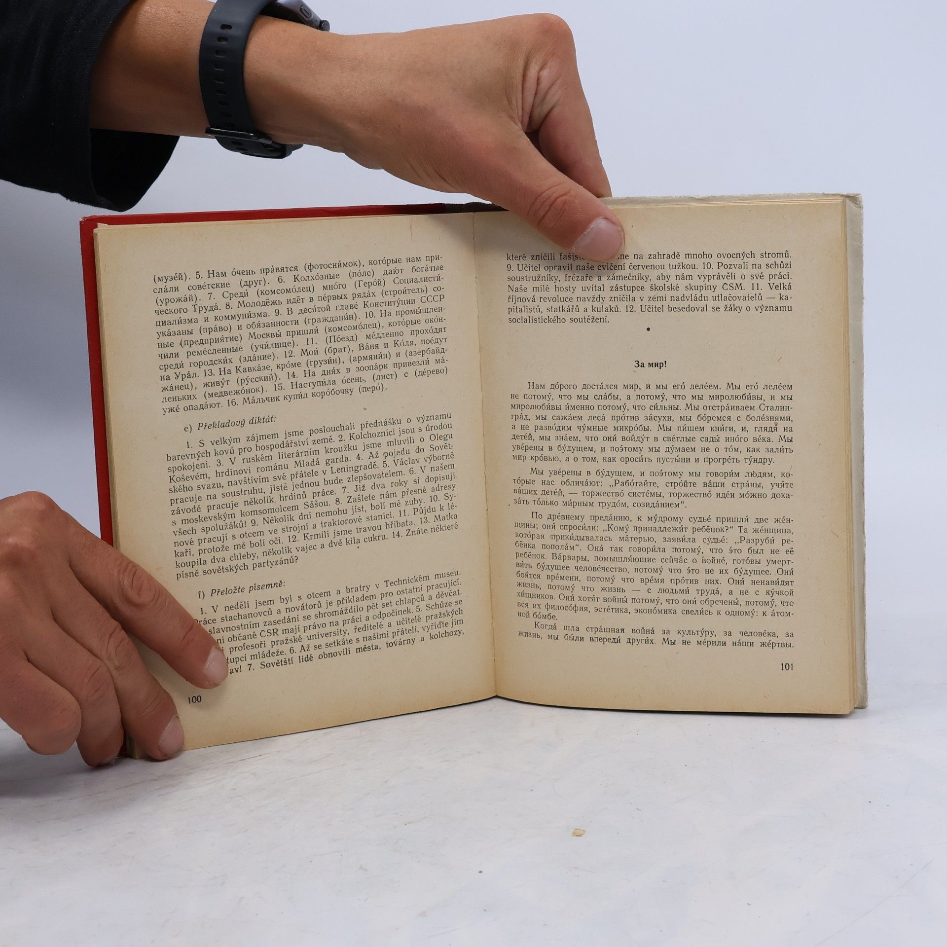 Autorenkollektiv Русский язык Učební text pro I. ročník odborných škol