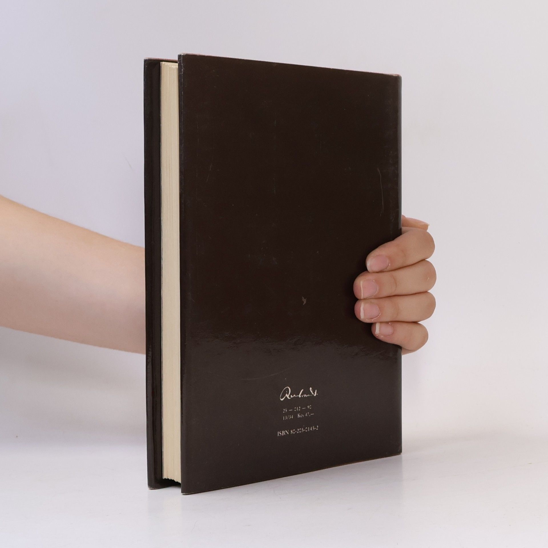David Weiss Já, Rembrandt