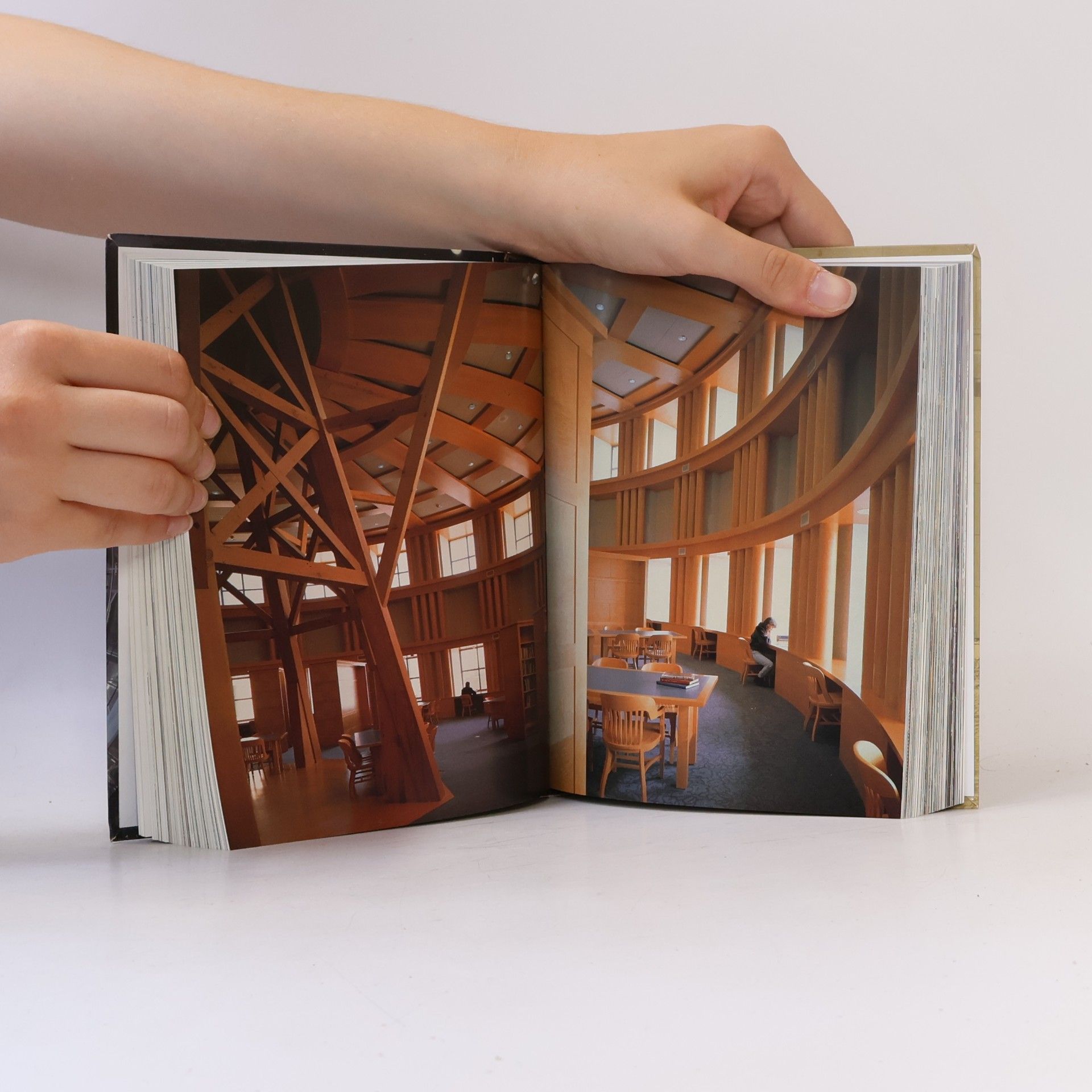 Virginie Leblay Great Architects/Les Grands Architectes/Grobe Architekten