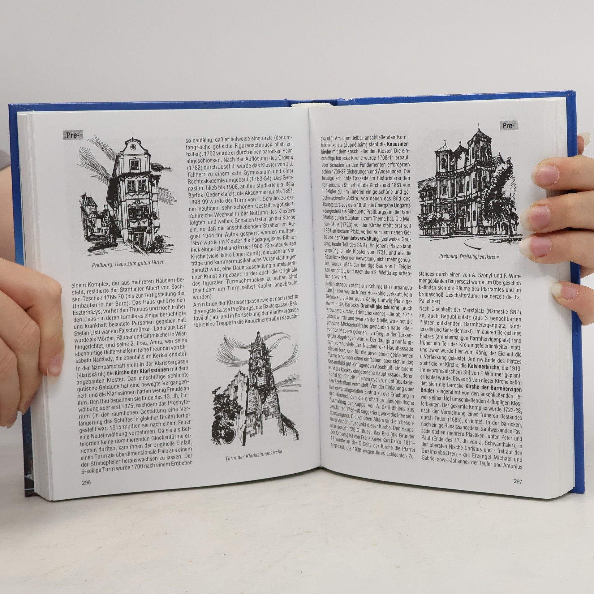 Ernst Hochberger Das grosse Buch der Slowakei